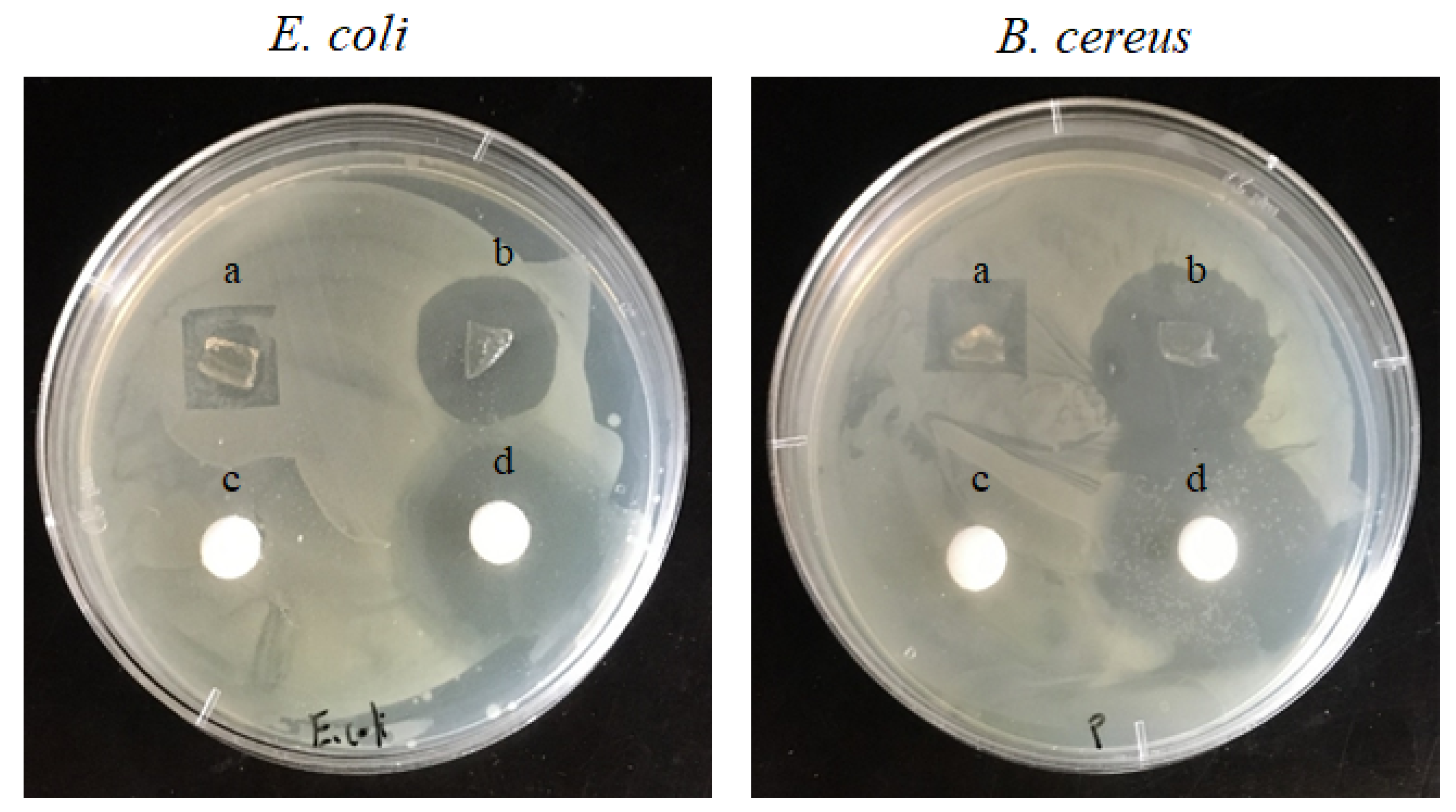 Polymers 13 00241 g009