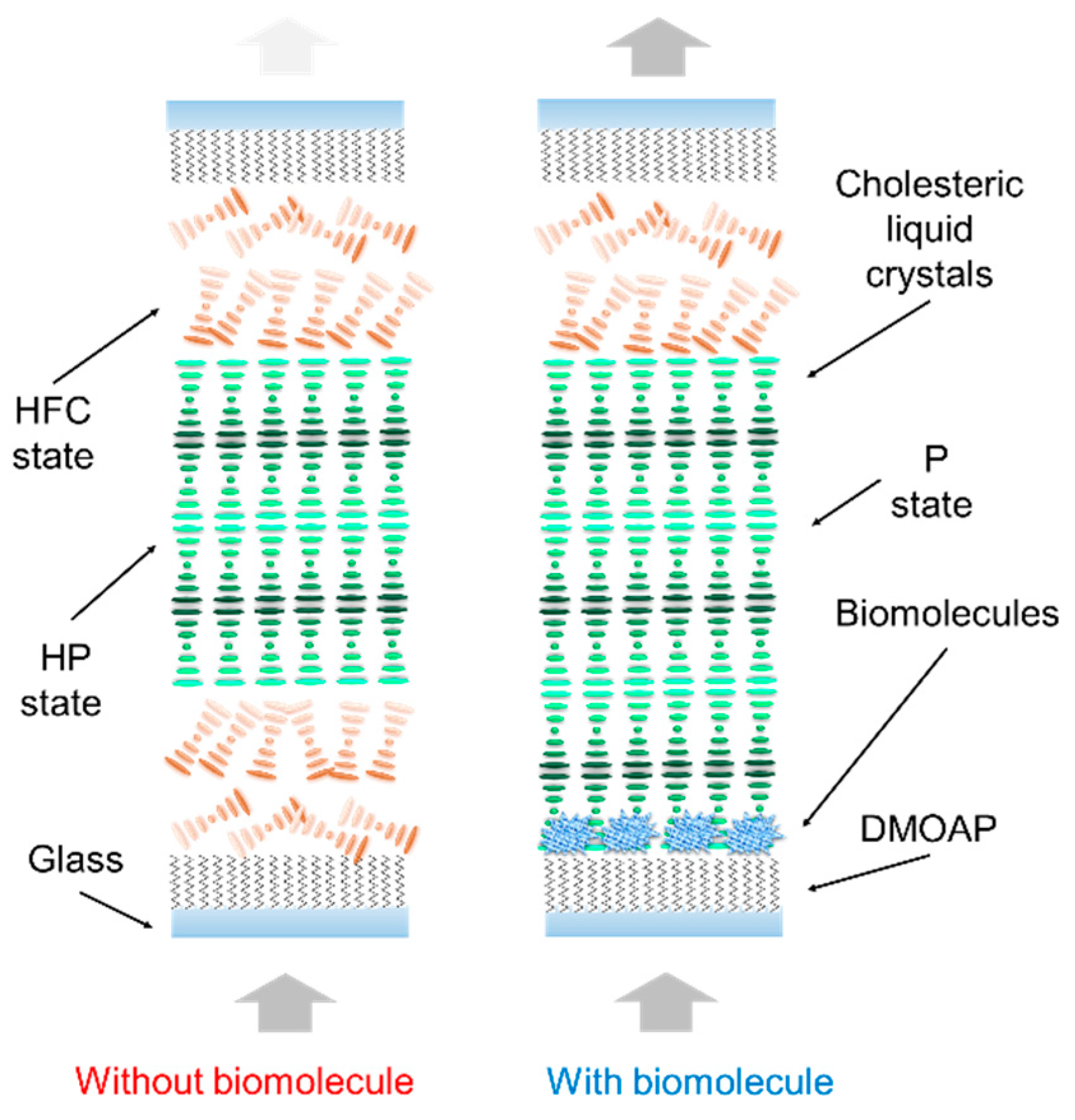 Polymers 13 00245 g005