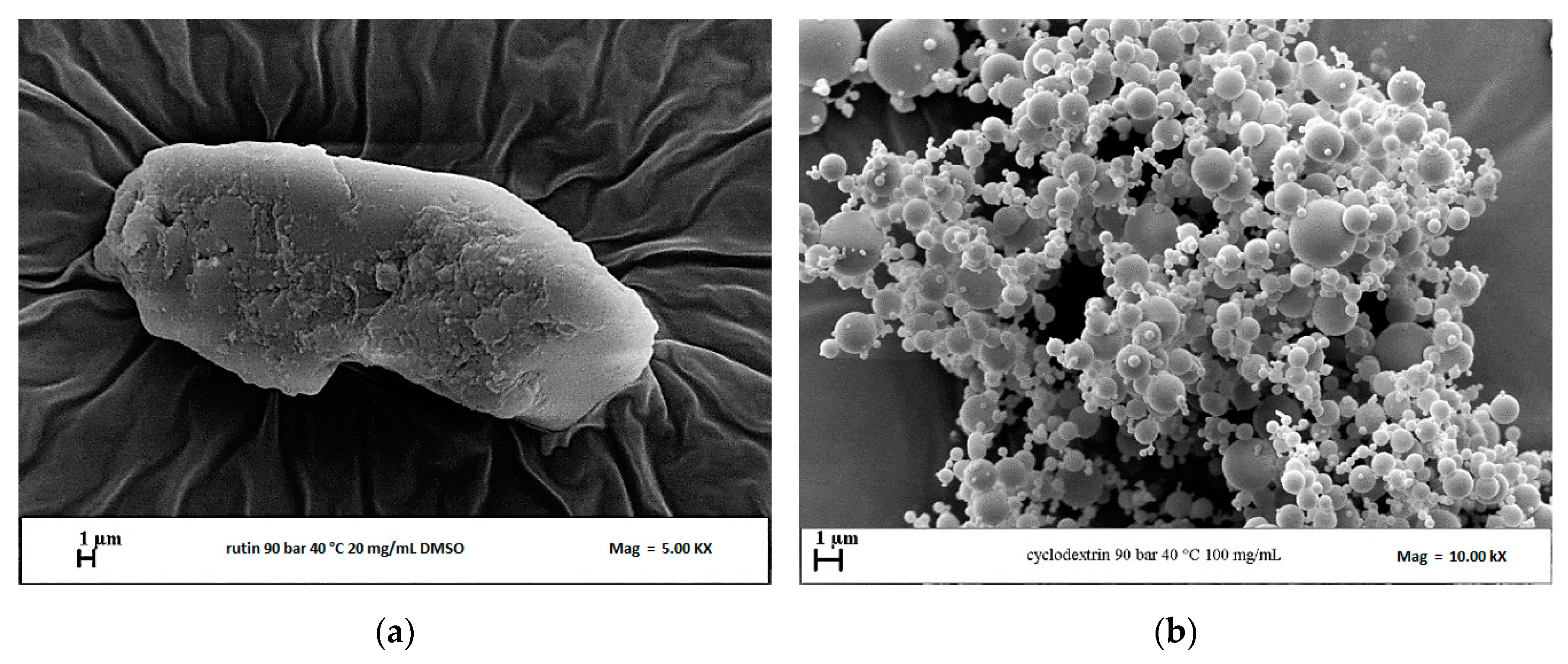Polymers 13 00246 g002