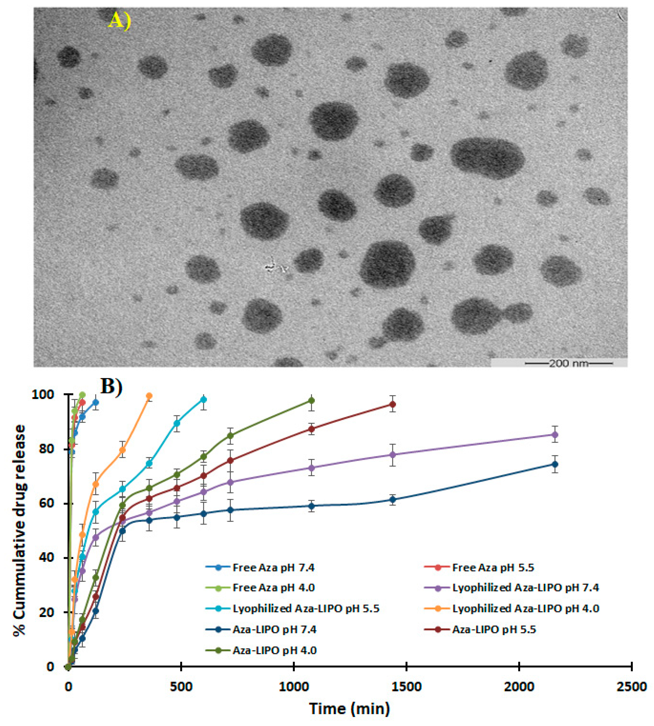 Polymers 13 00250 g008