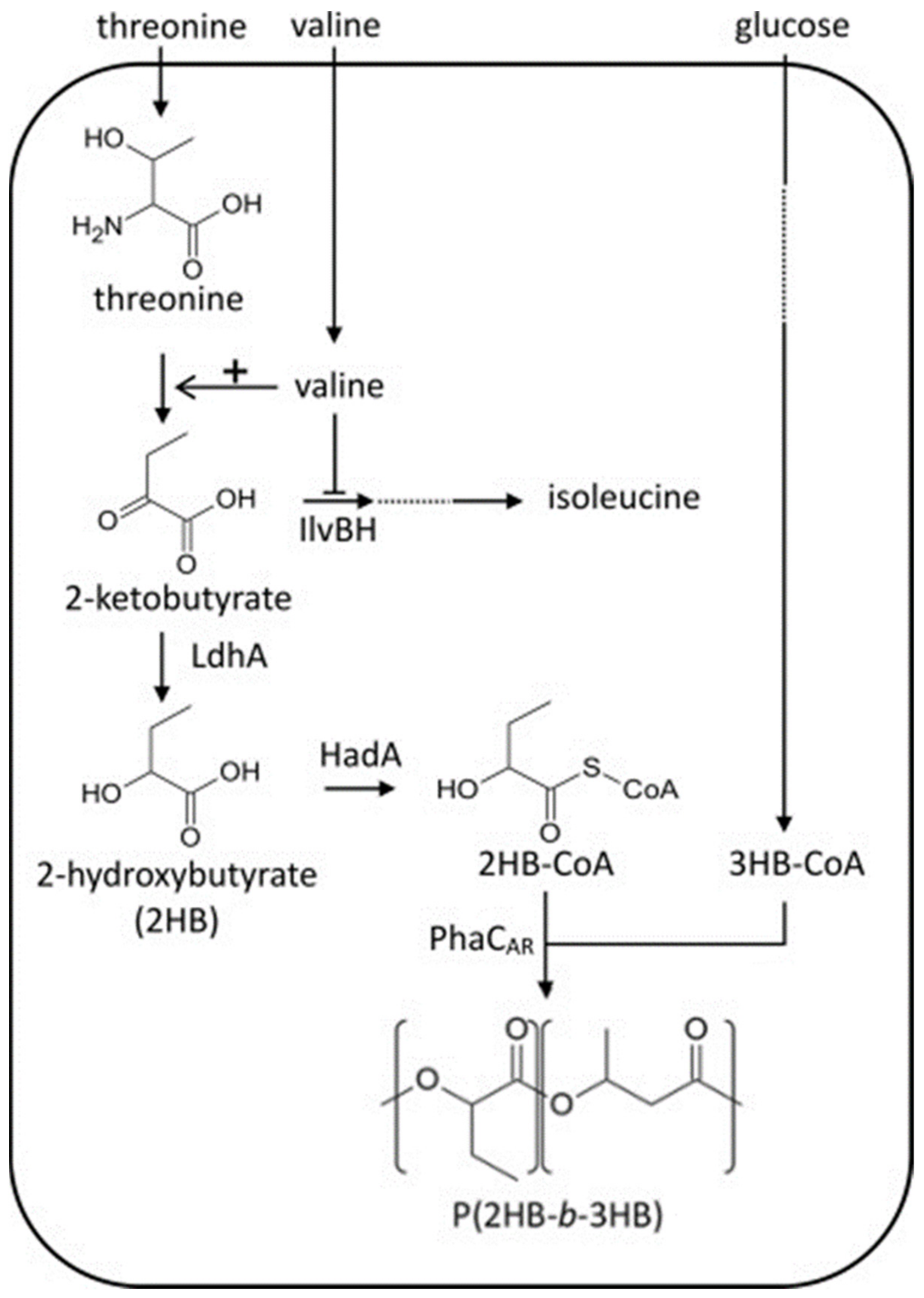 Polymers 13 00253 g006 Polymers 13 00253 g006