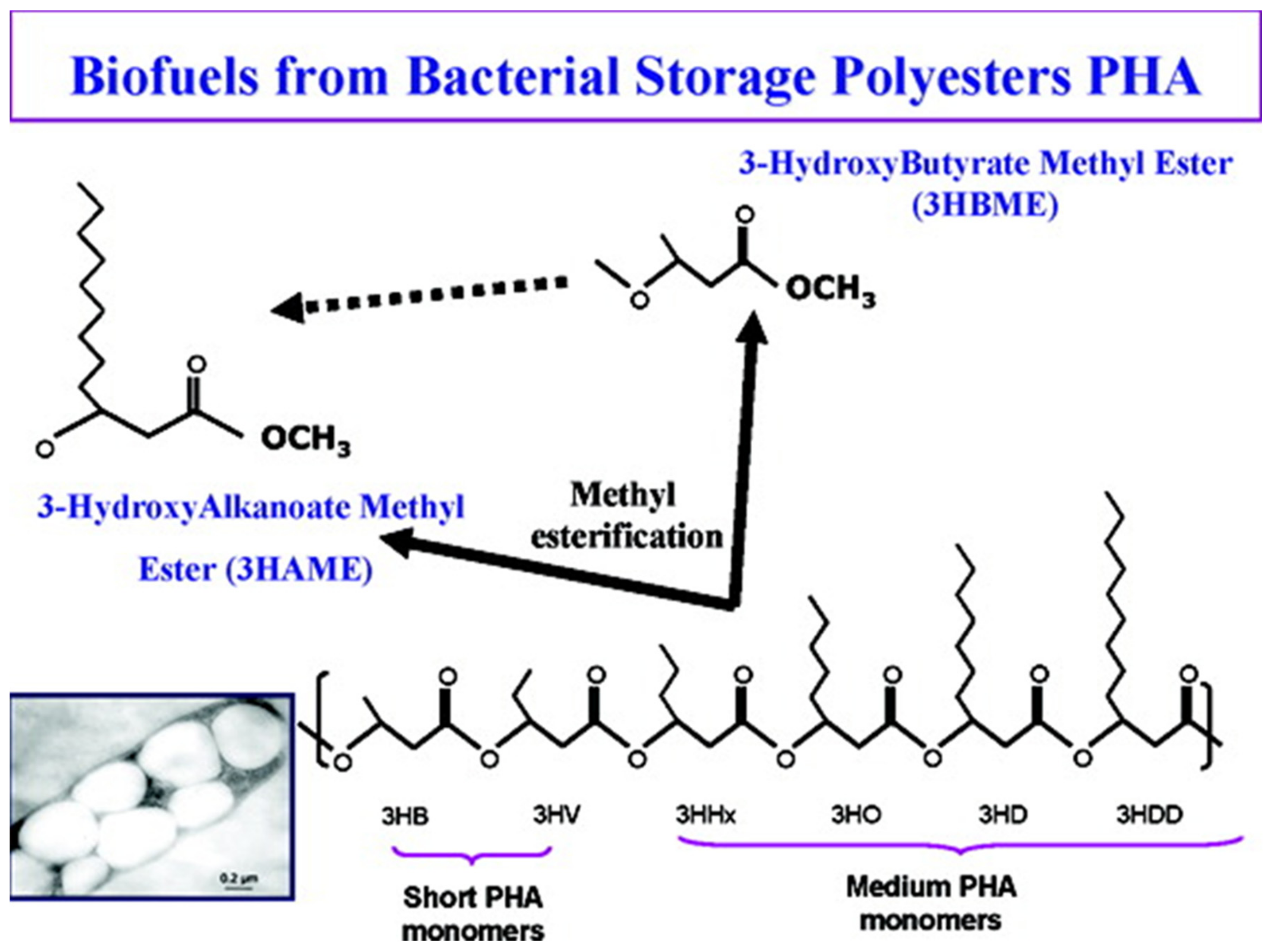 Polymers 13 00253 g008 Polymers 13 00253 g008