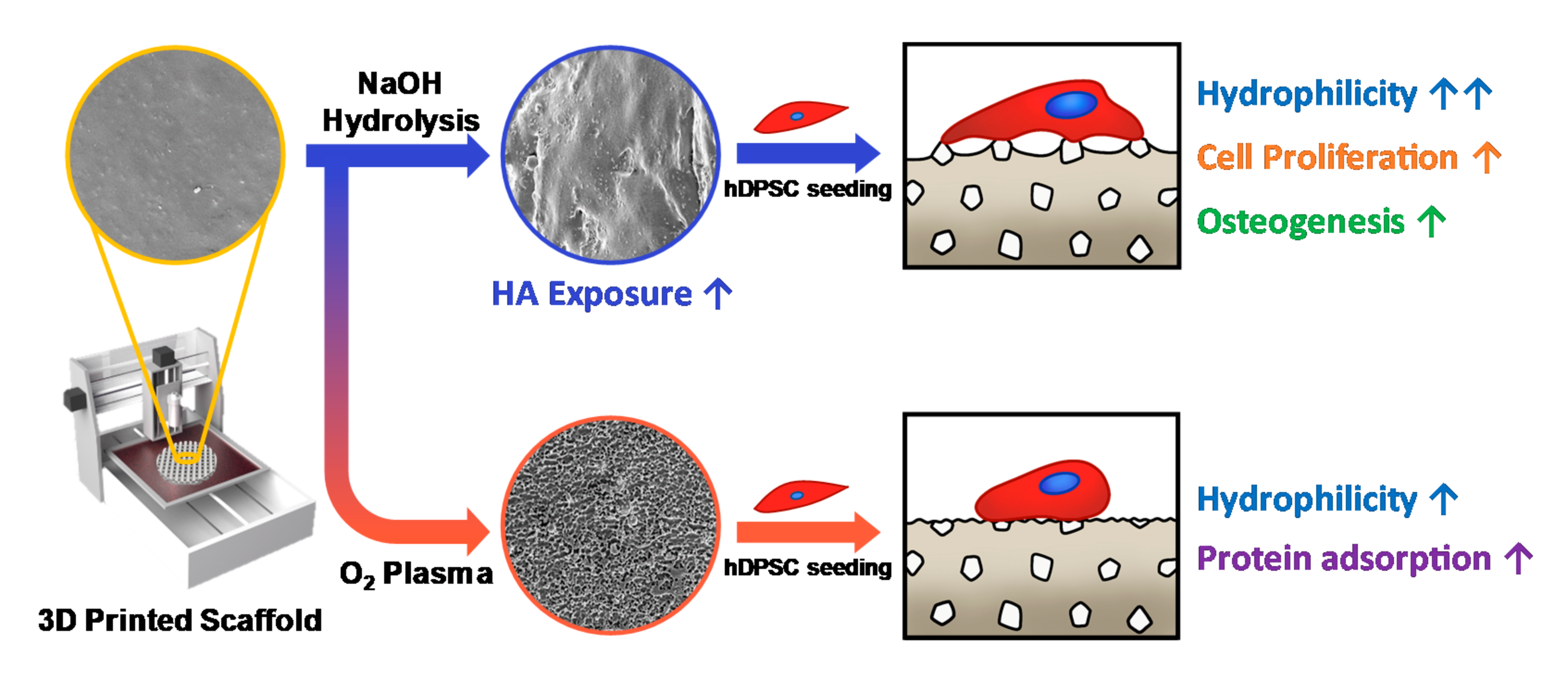 Polymers 13 00257 g001