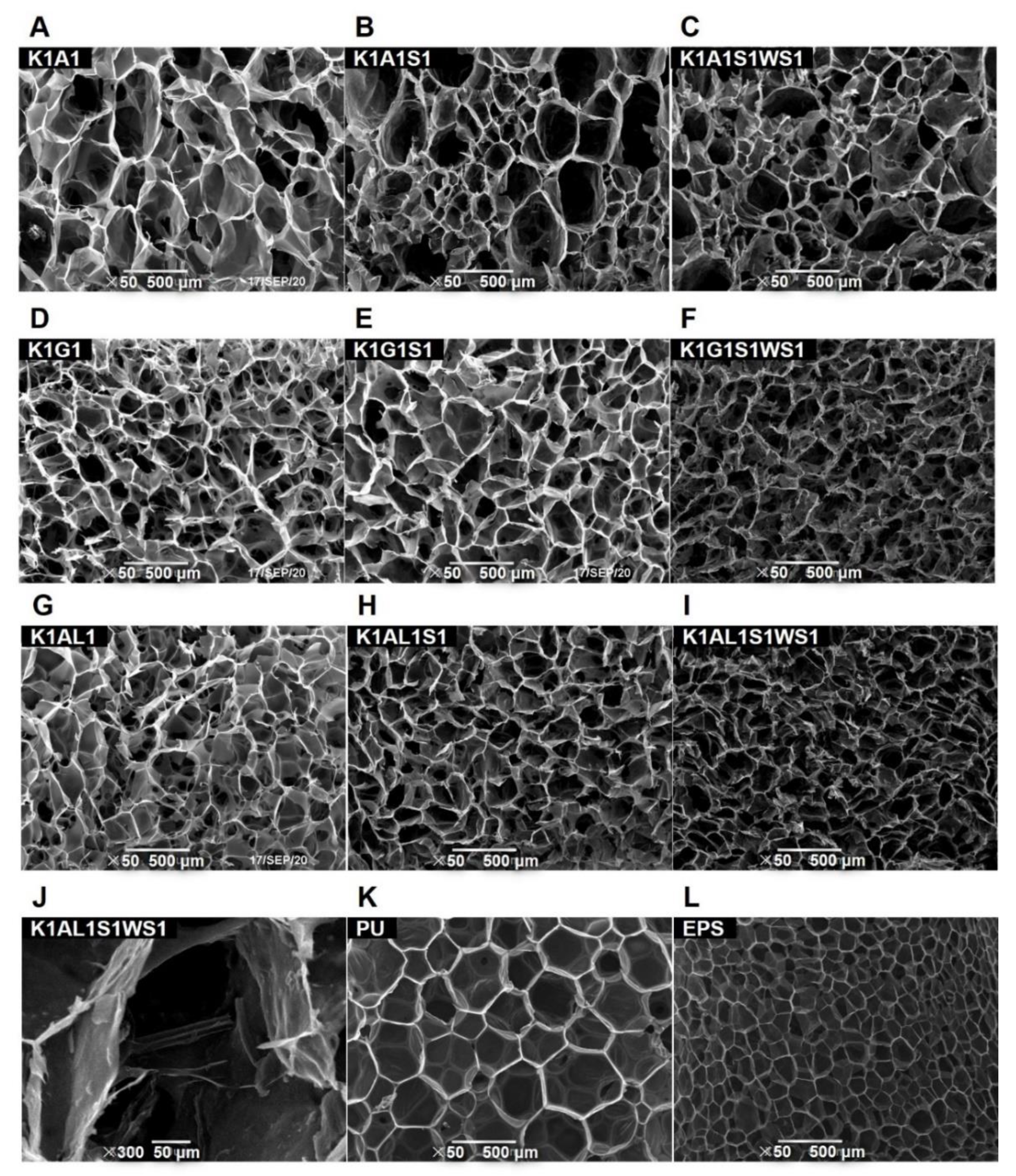 Polymers 13 00258 g001