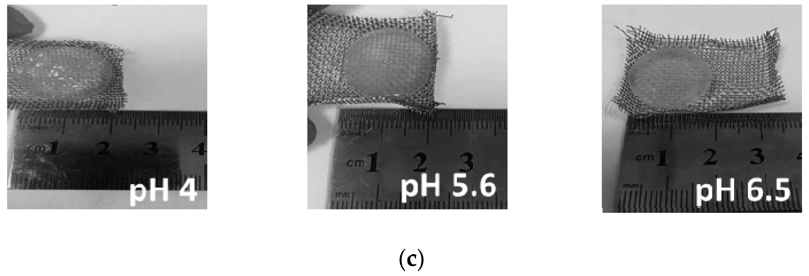 Polymers 13 00266 g006b Polymers 13 00266 g006b