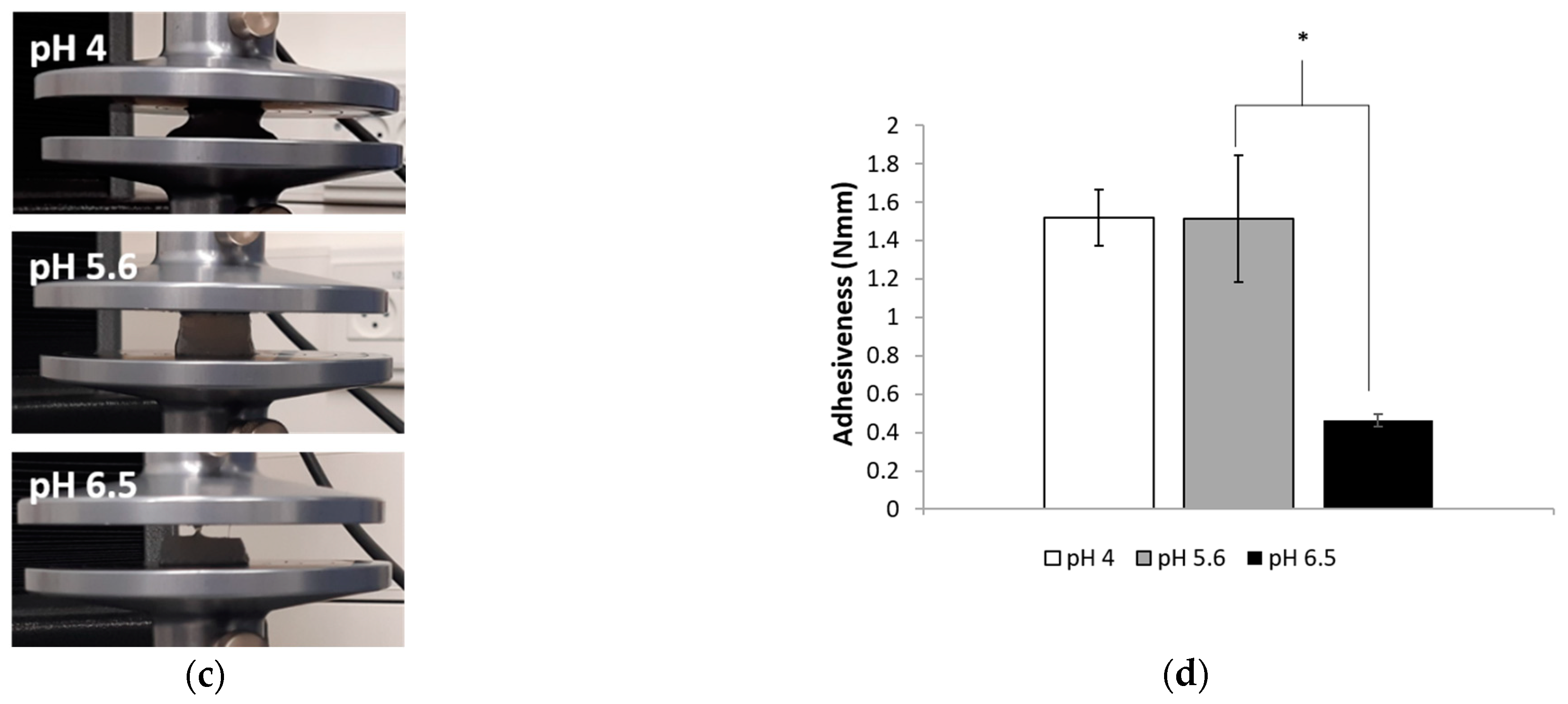 Polymers 13 00266 g008b Polymers 13 00266 g008b