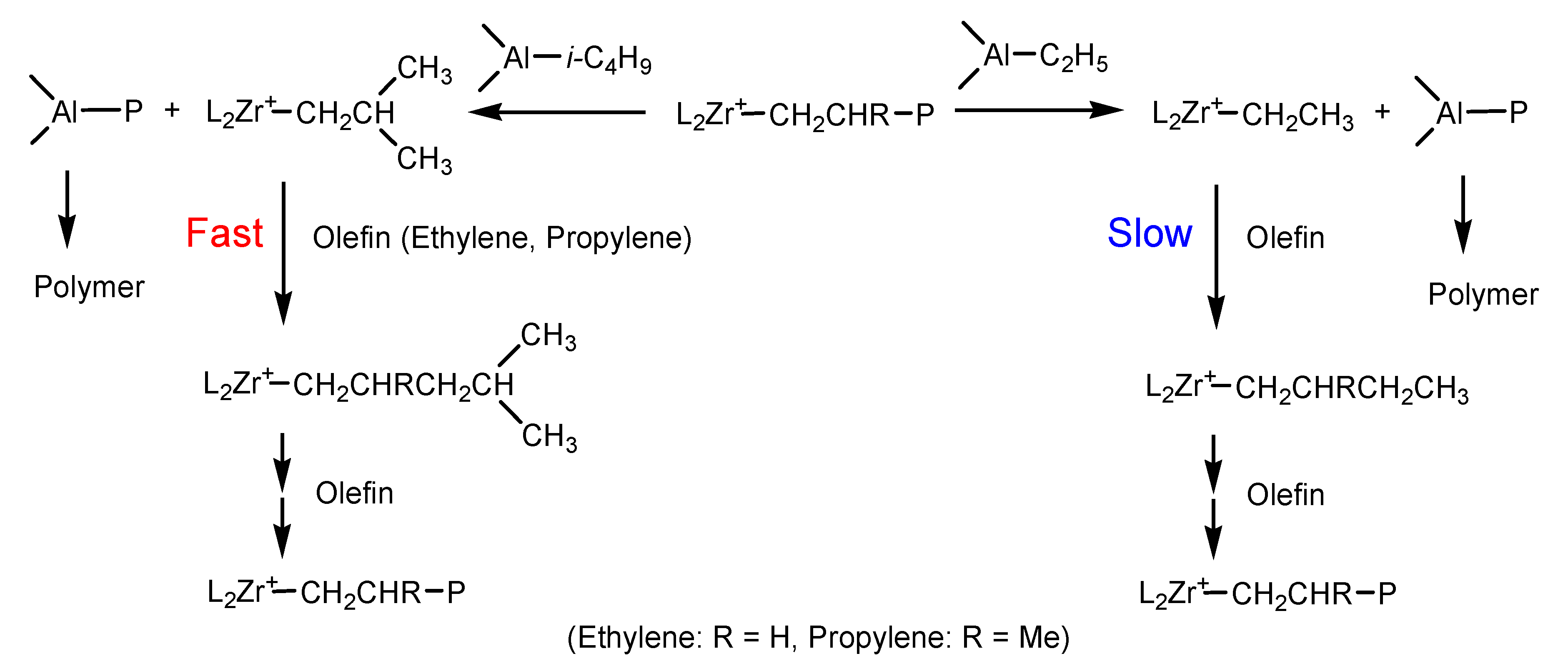 Polymers 13 00268 sch002 Polymers 13 00268 sch002