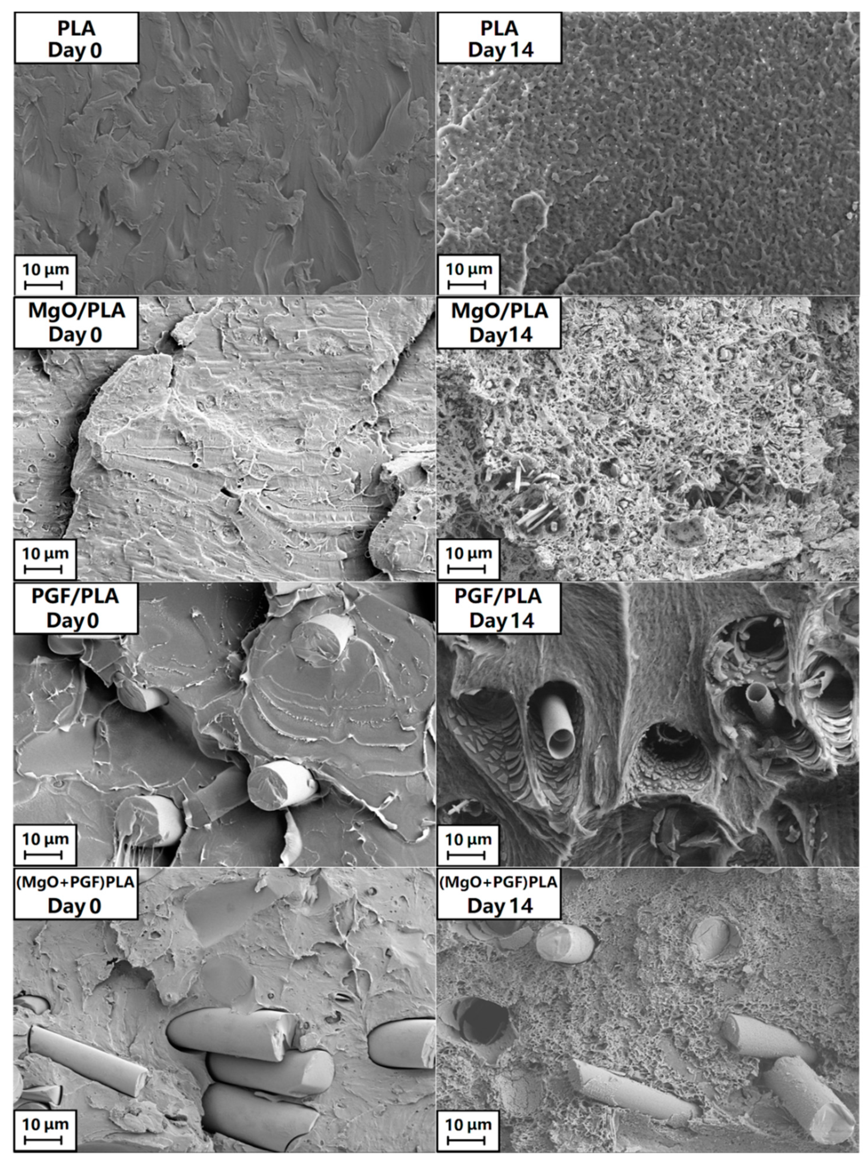 Polymers 13 00270 g006 Polymers 13 00270 g006