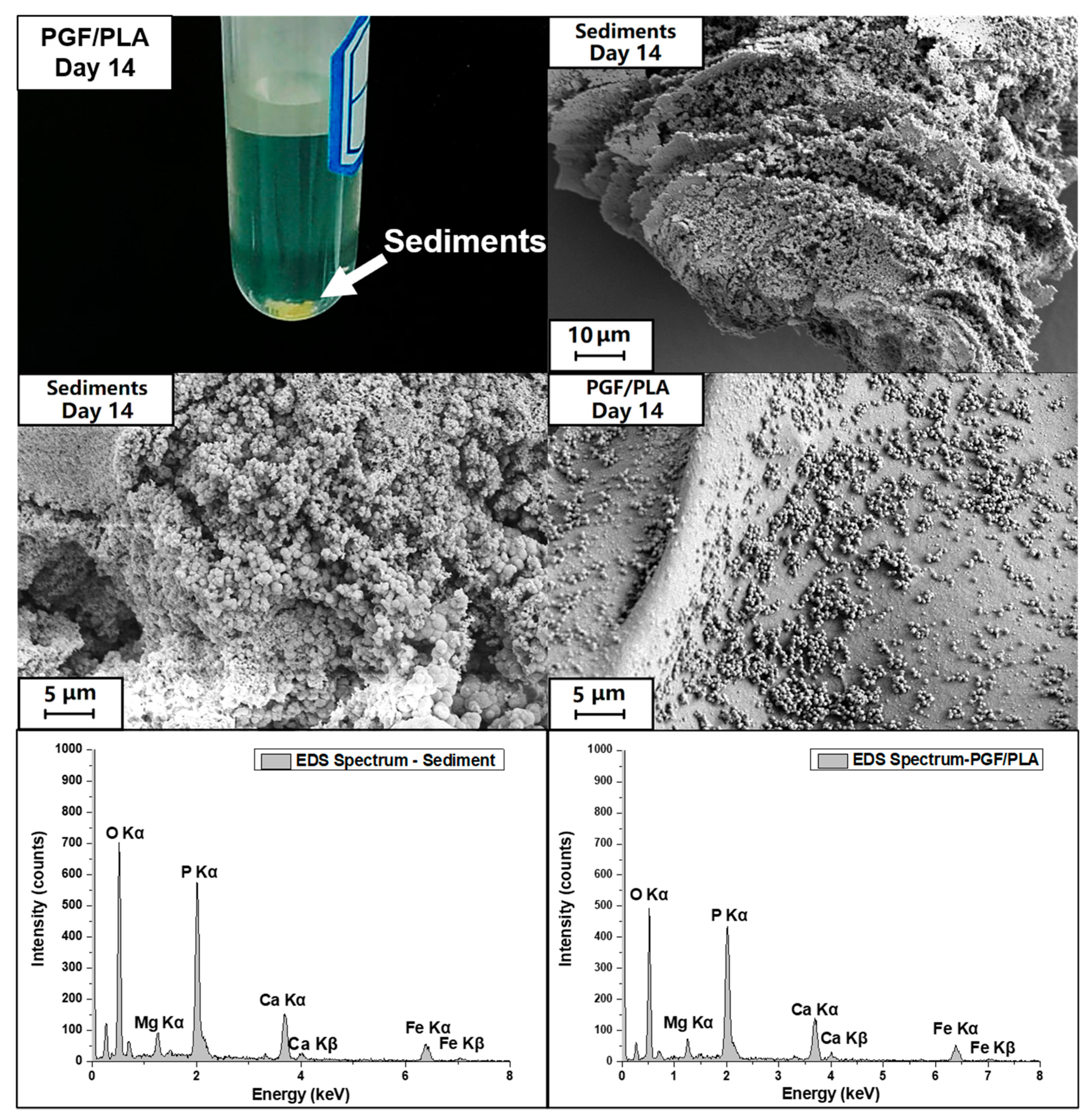 Polymers 13 00270 g008 Polymers 13 00270 g008