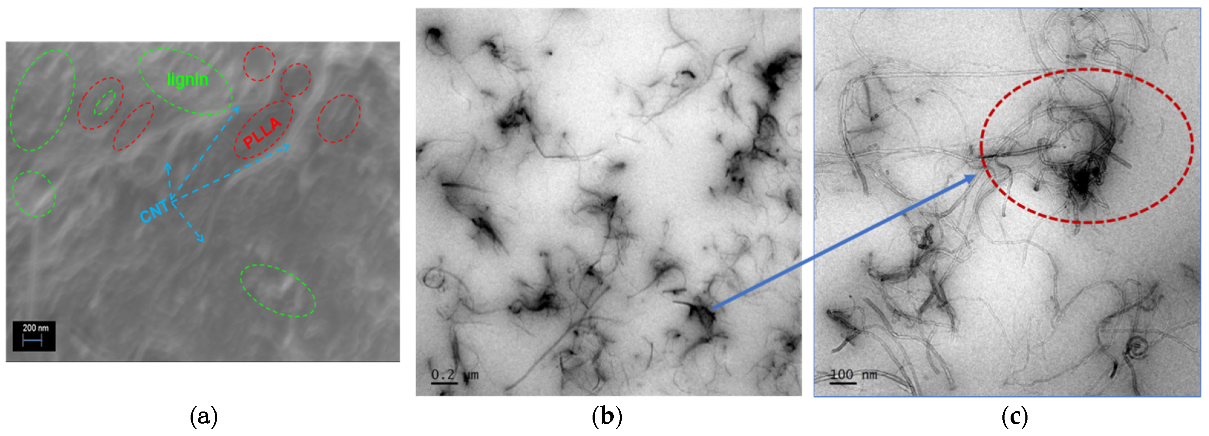 Polymers 13 00272 g001 Polymers 13 00272 g001
