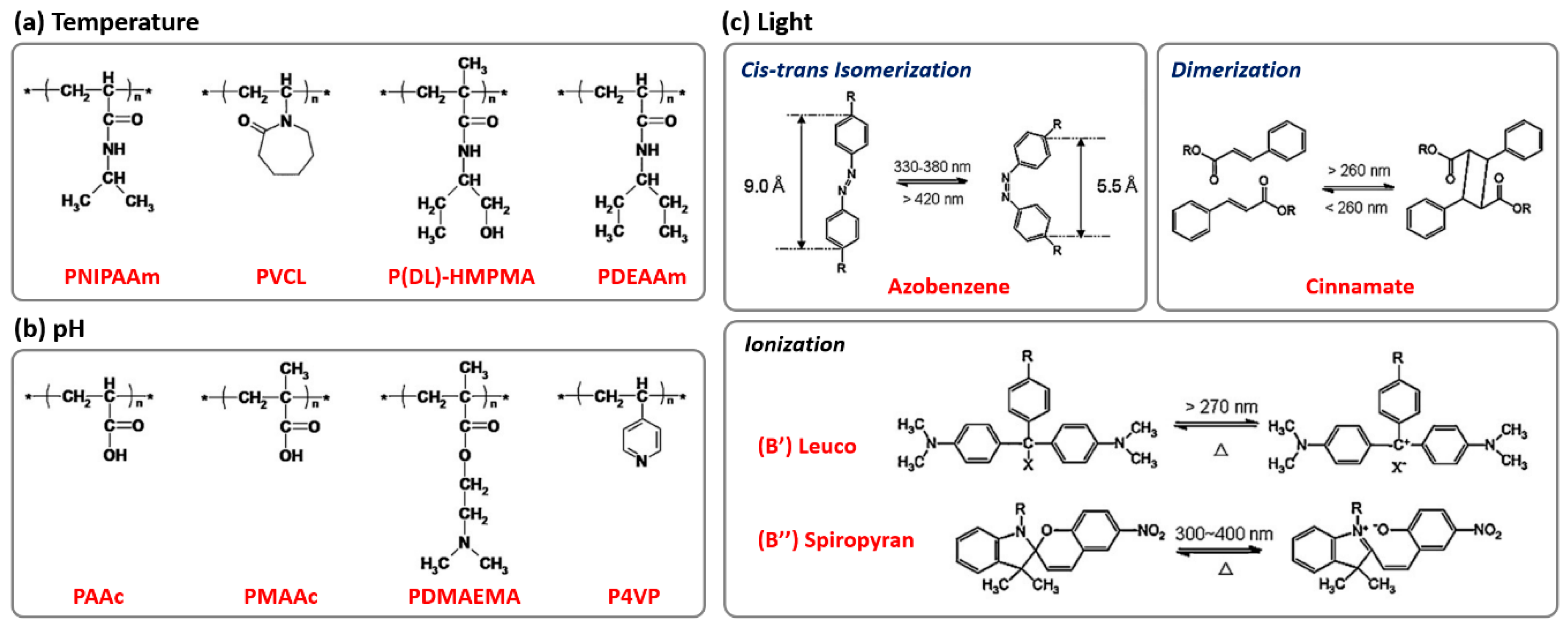 Polymers 13 00273 g003 Polymers 13 00273 g003