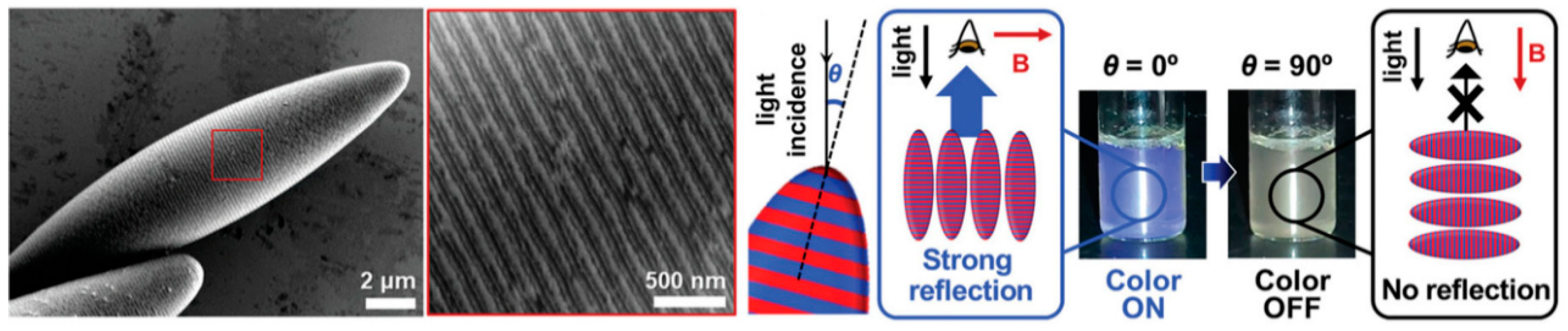 Polymers 13 00273 g008 Polymers 13 00273 g008