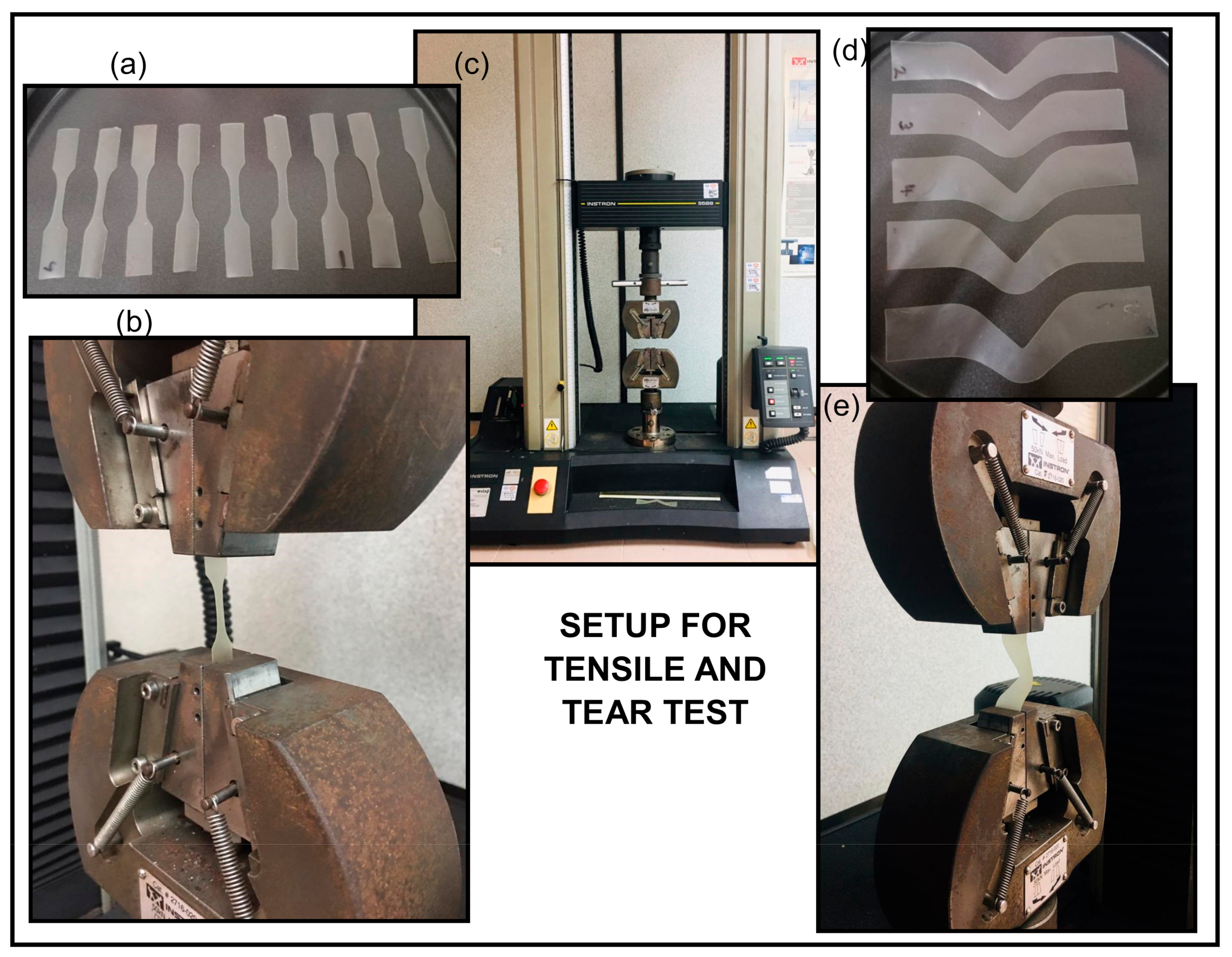 Polymers 13 00274 g005 Polymers 13 00274 g005