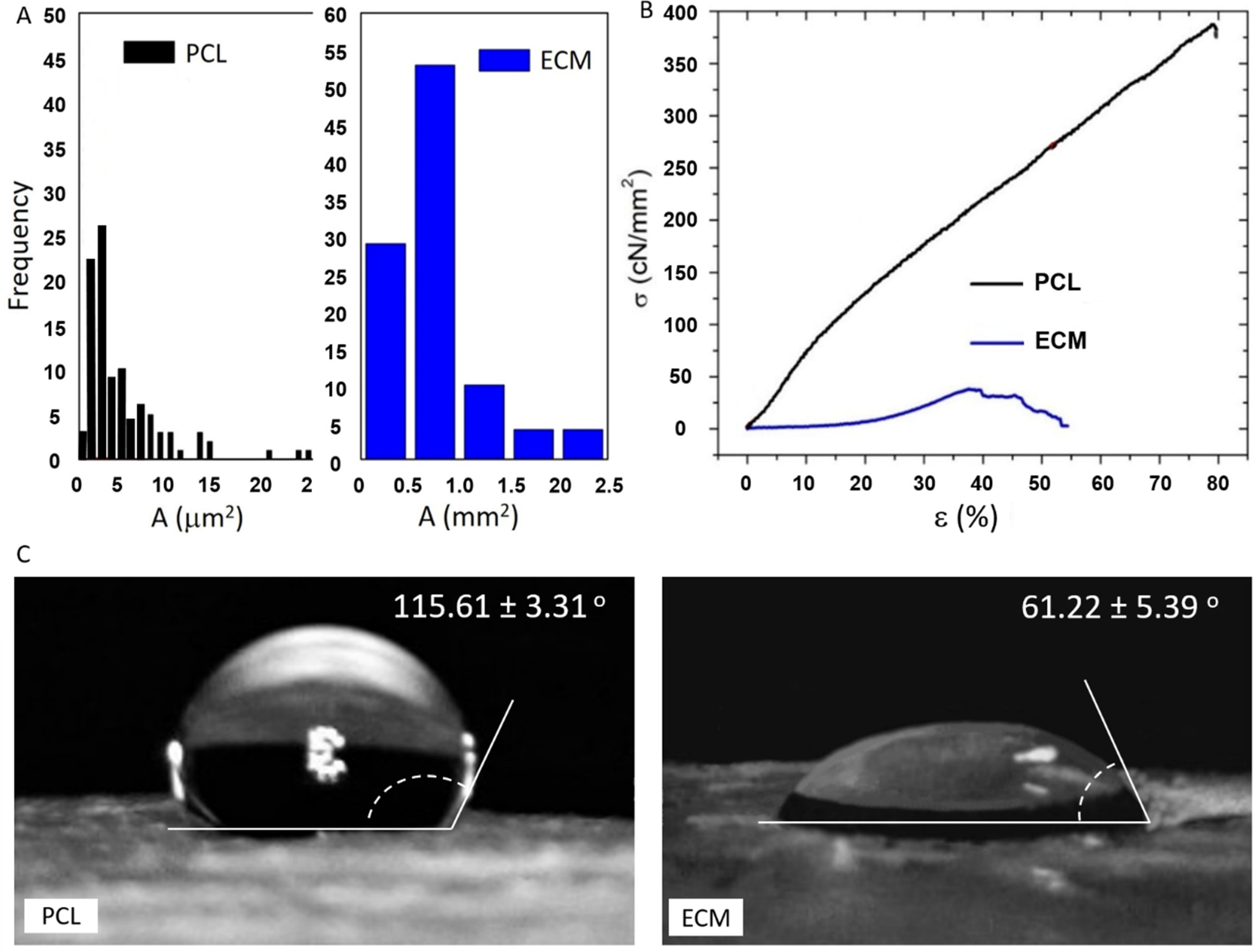 Polymers 13 00279 g002
