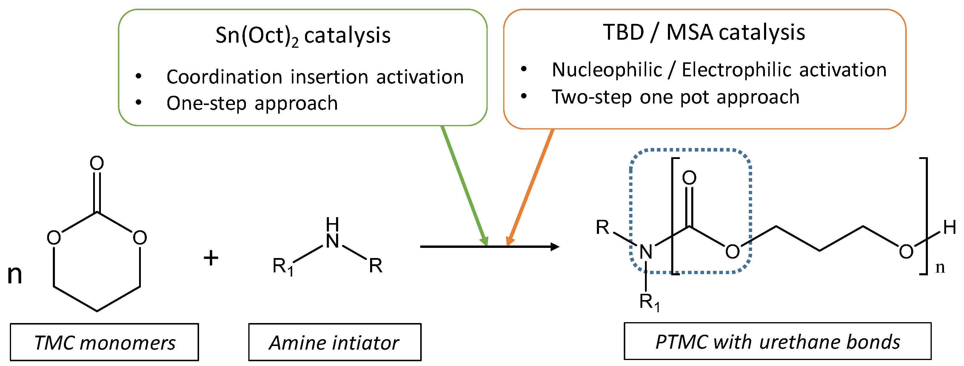 Polymers 13 00280 g002 Polymers 13 00280 g002