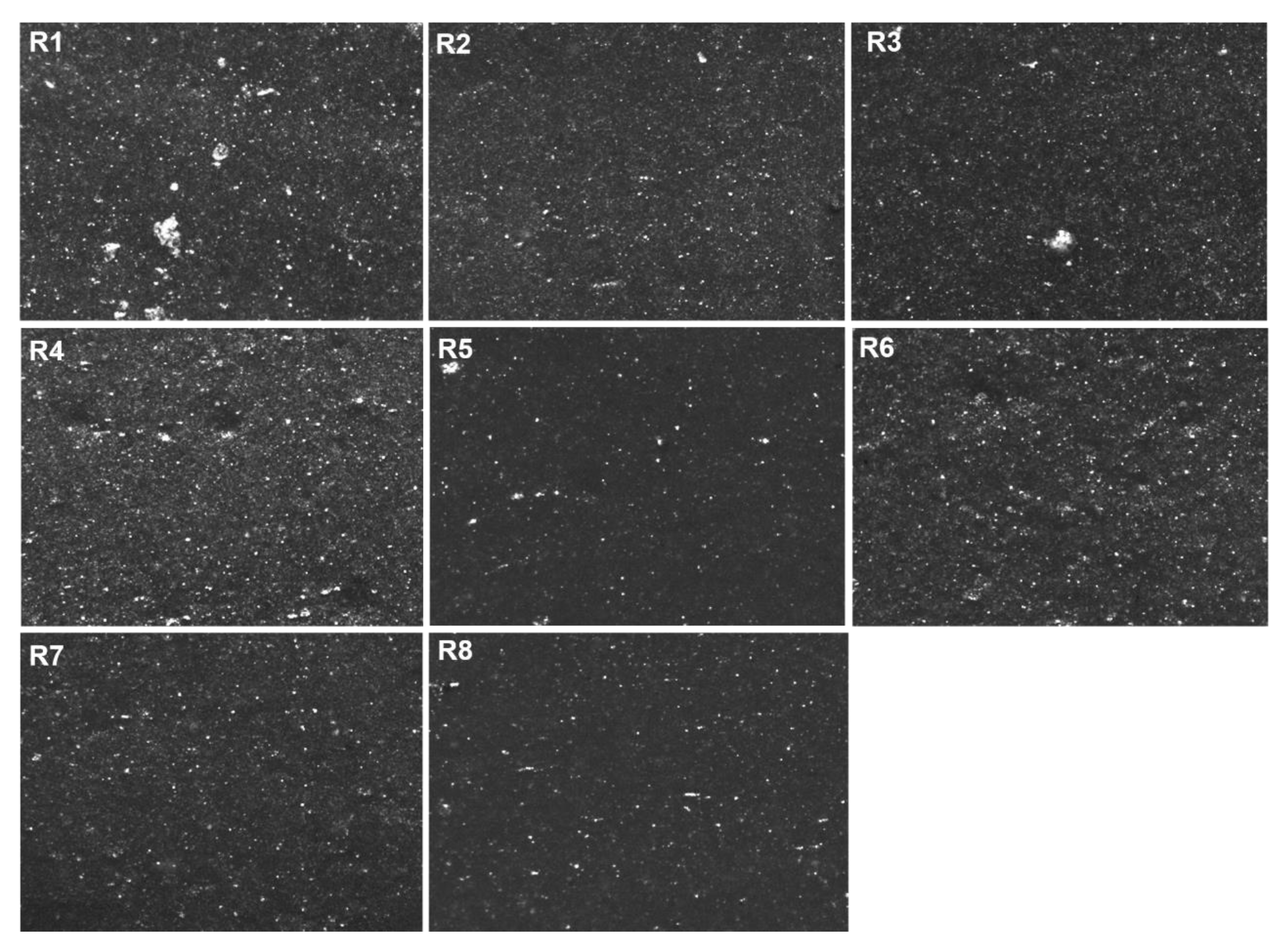 Polymers 13 00281 g008