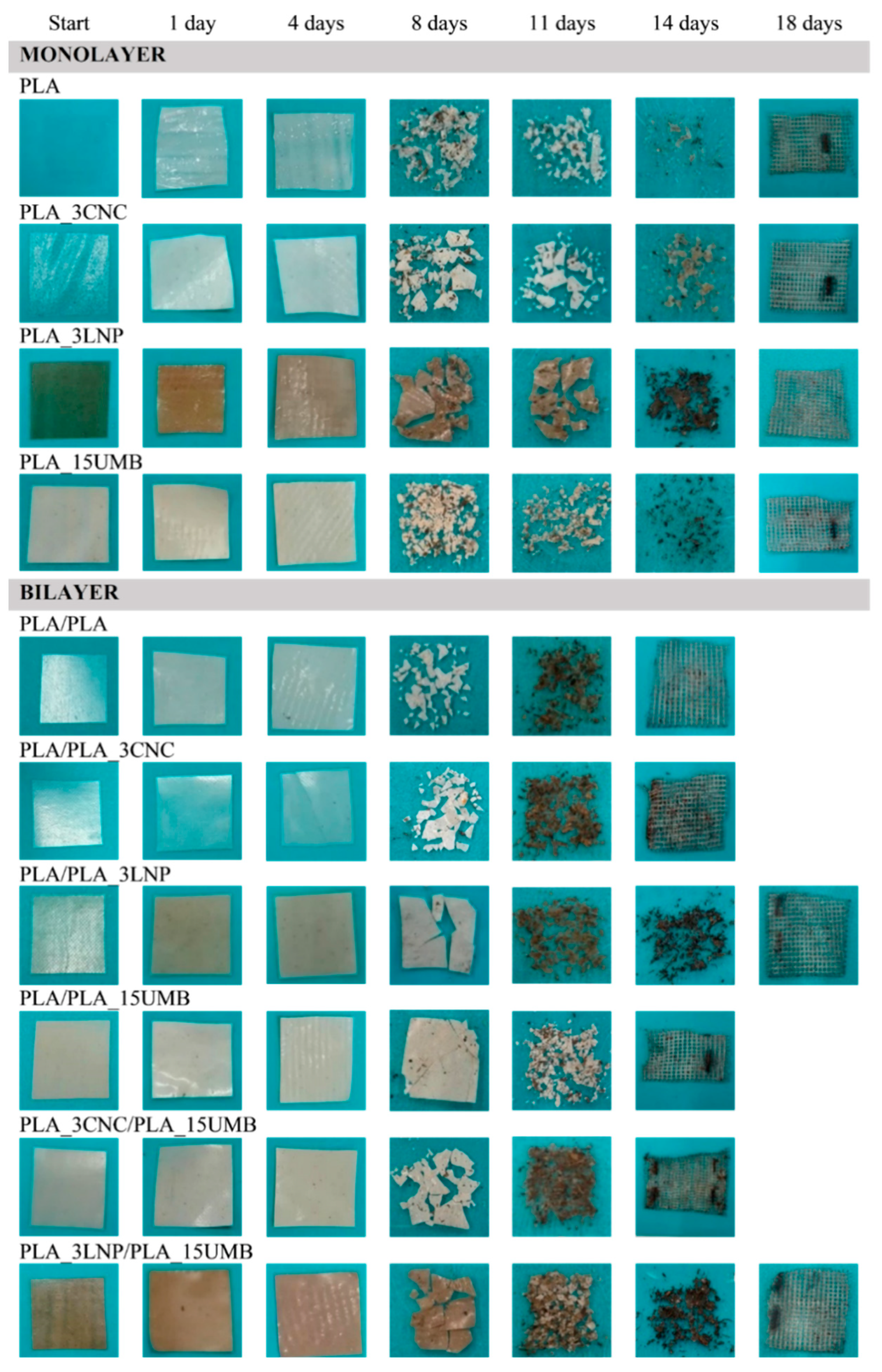 Polymers 13 00282 g002