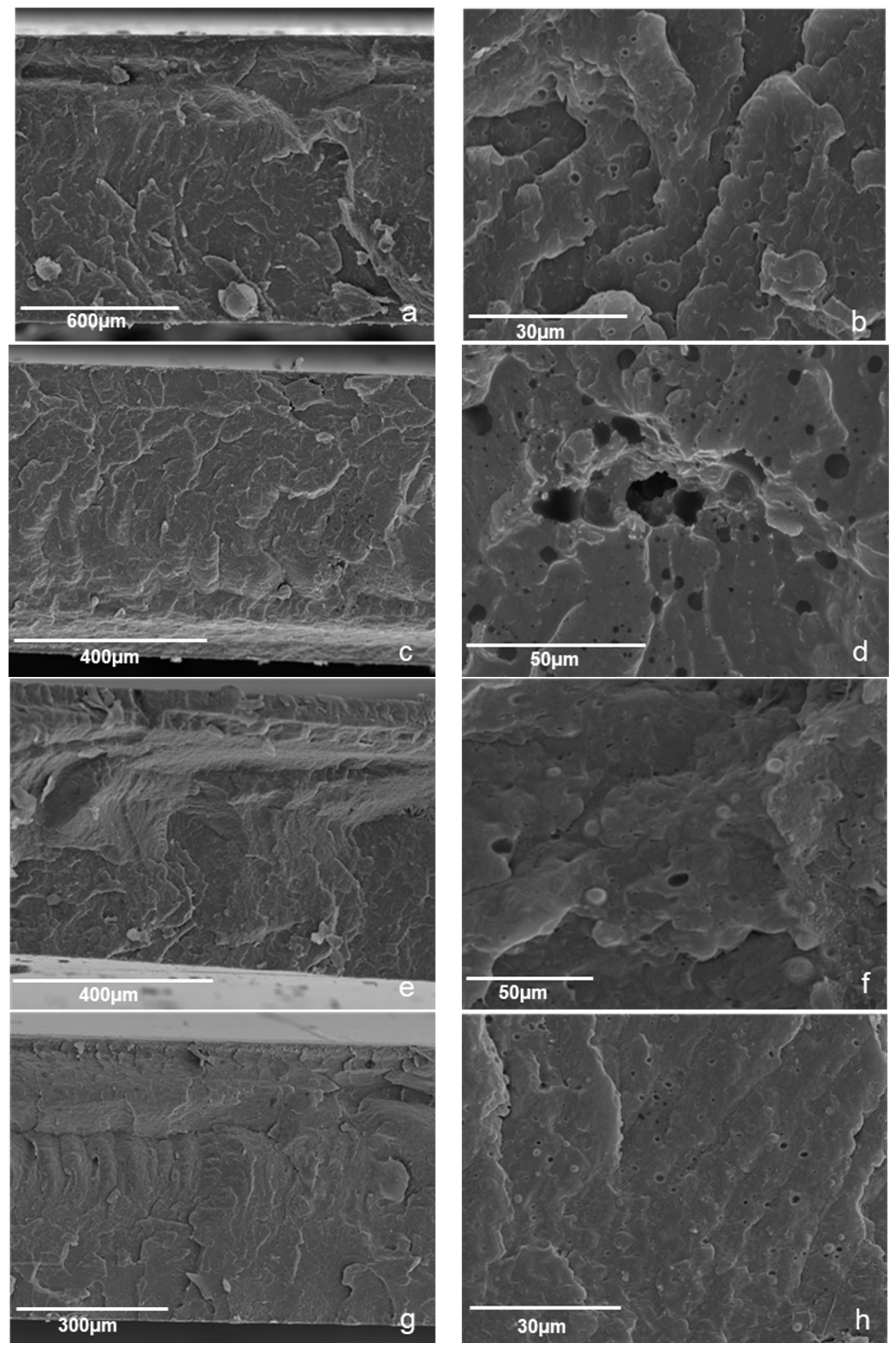 Polymers 13 00288 g004
