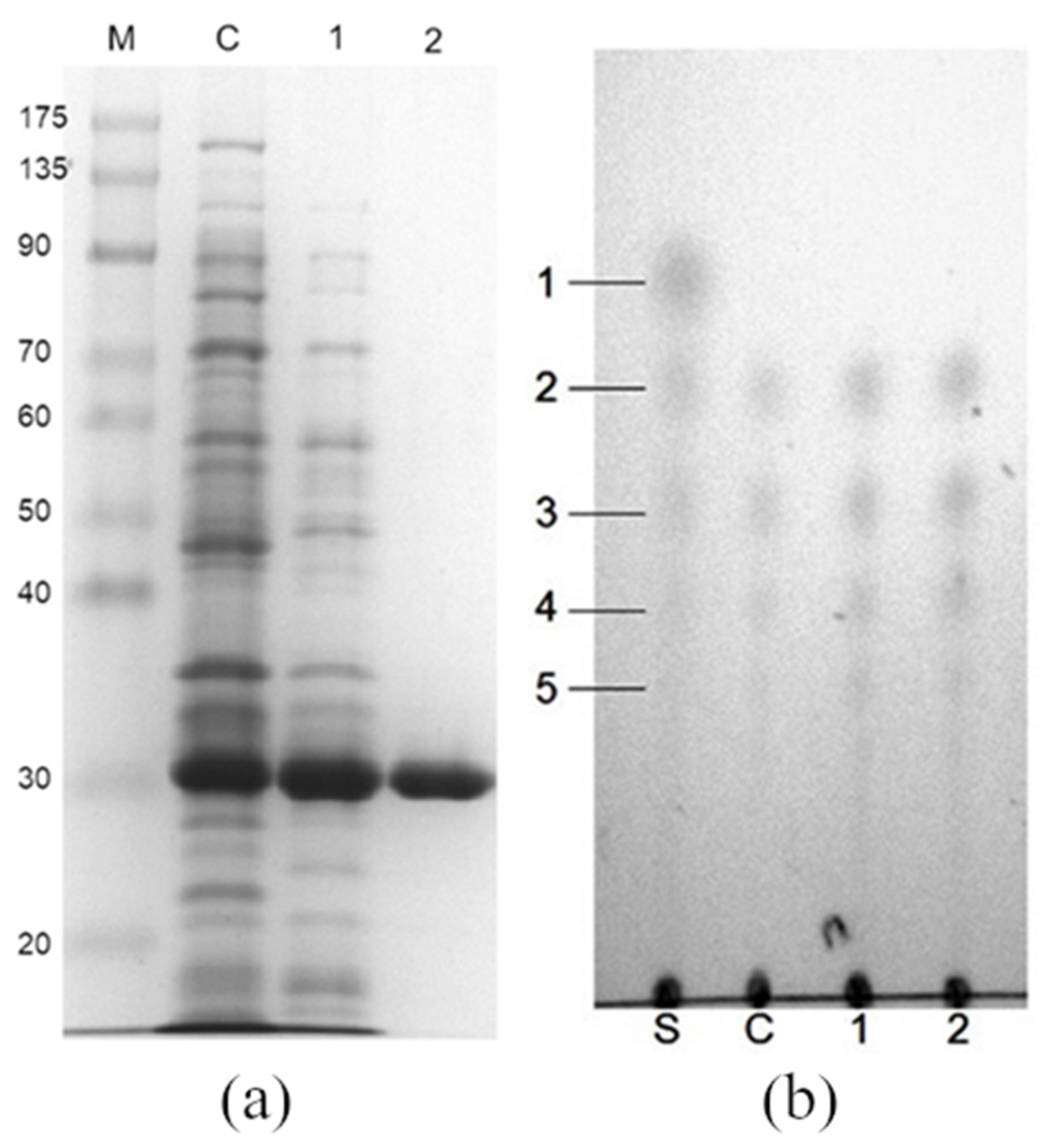 Polymers 13 00290 g005 Polymers 13 00290 g005