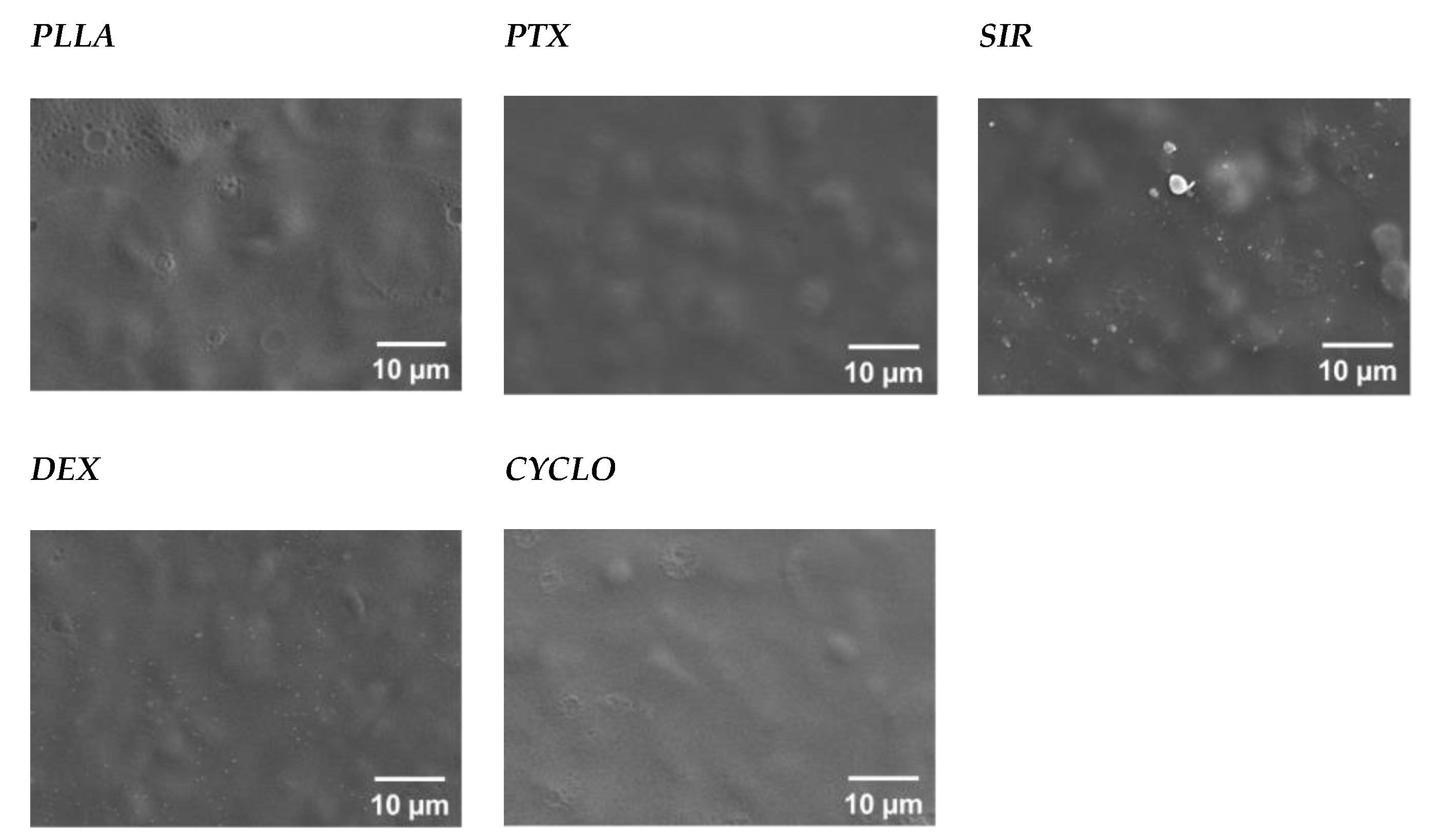 Polymers 13 00292 g003