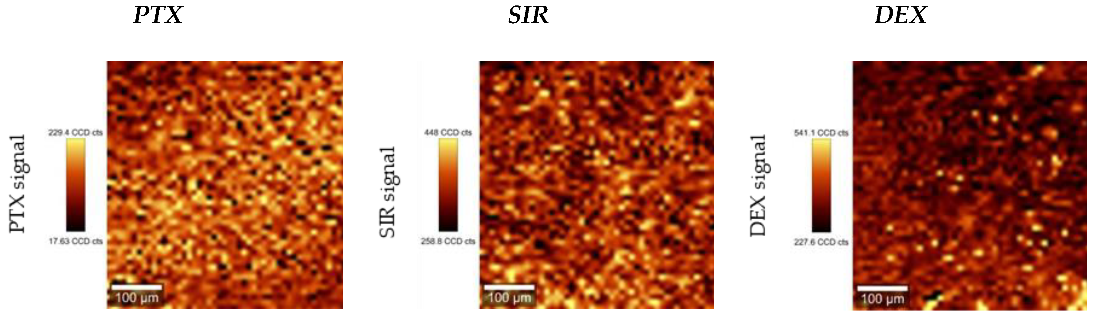 Polymers 13 00292 g004