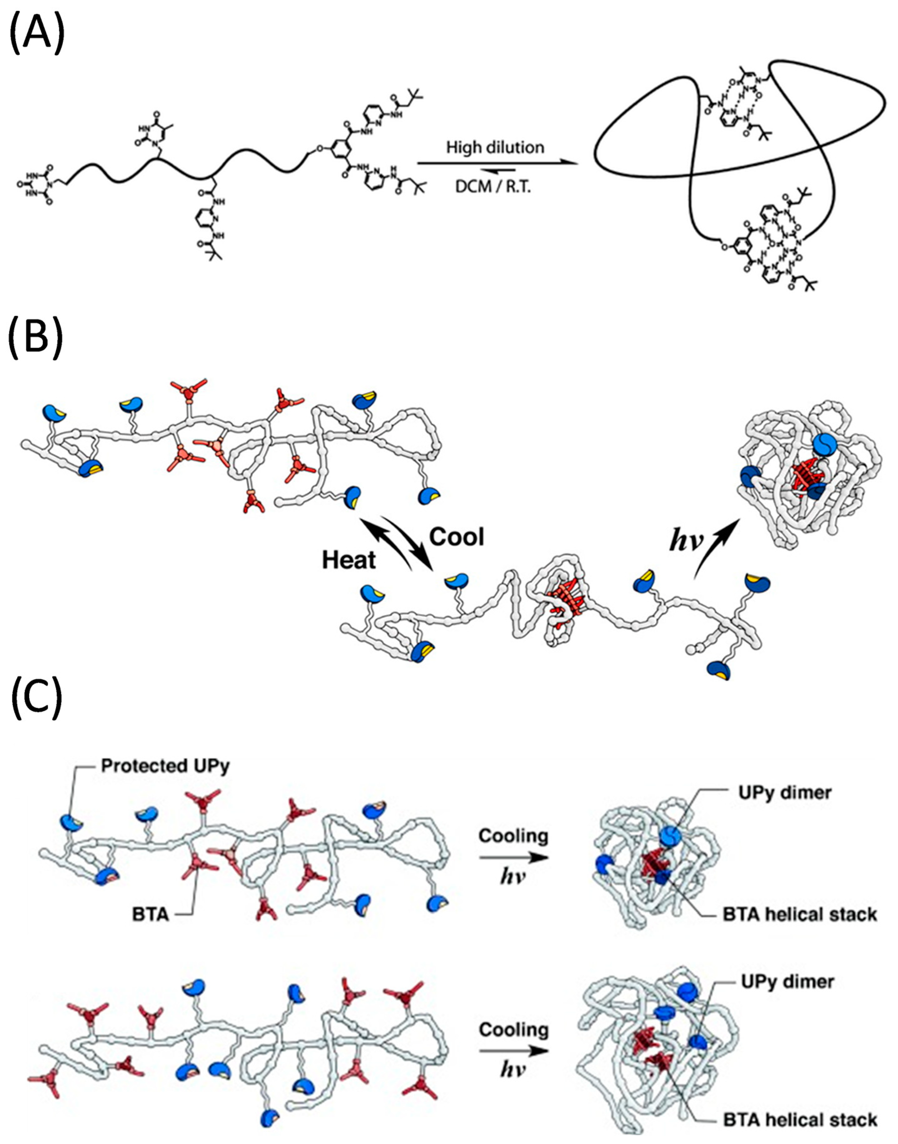 Polymers 13 00293 g003 Polymers 13 00293 g003