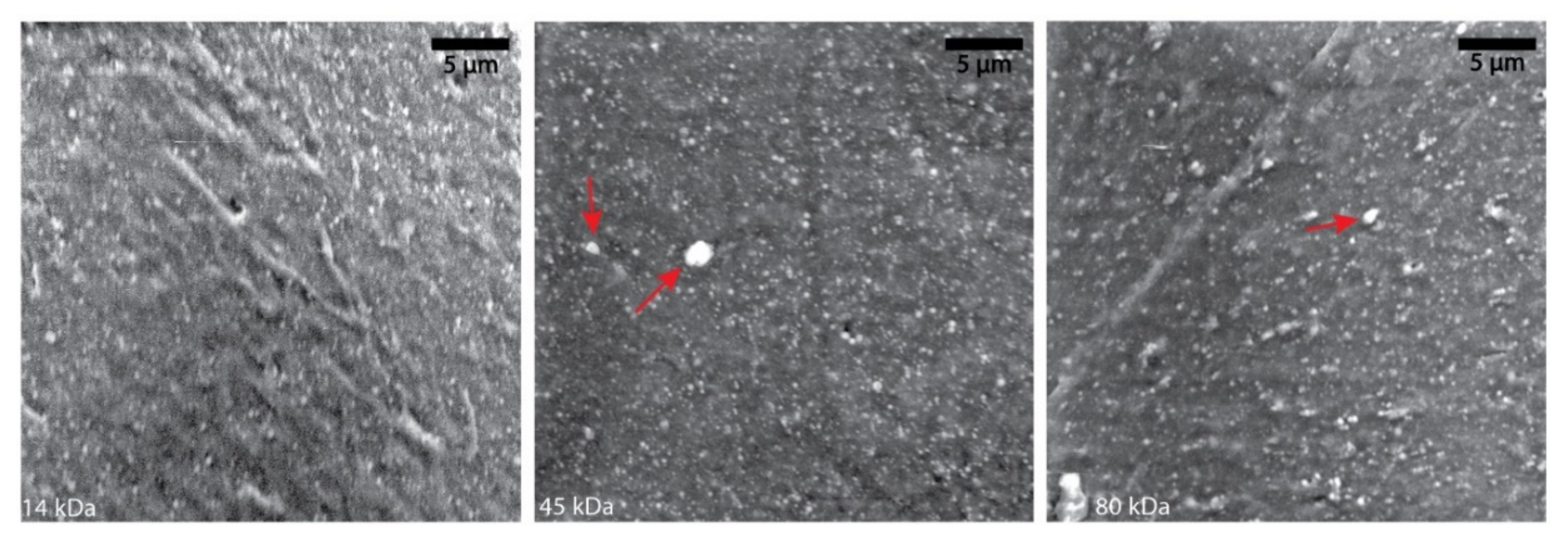 Polymers 13 00295 g004 Polymers 13 00295 g004