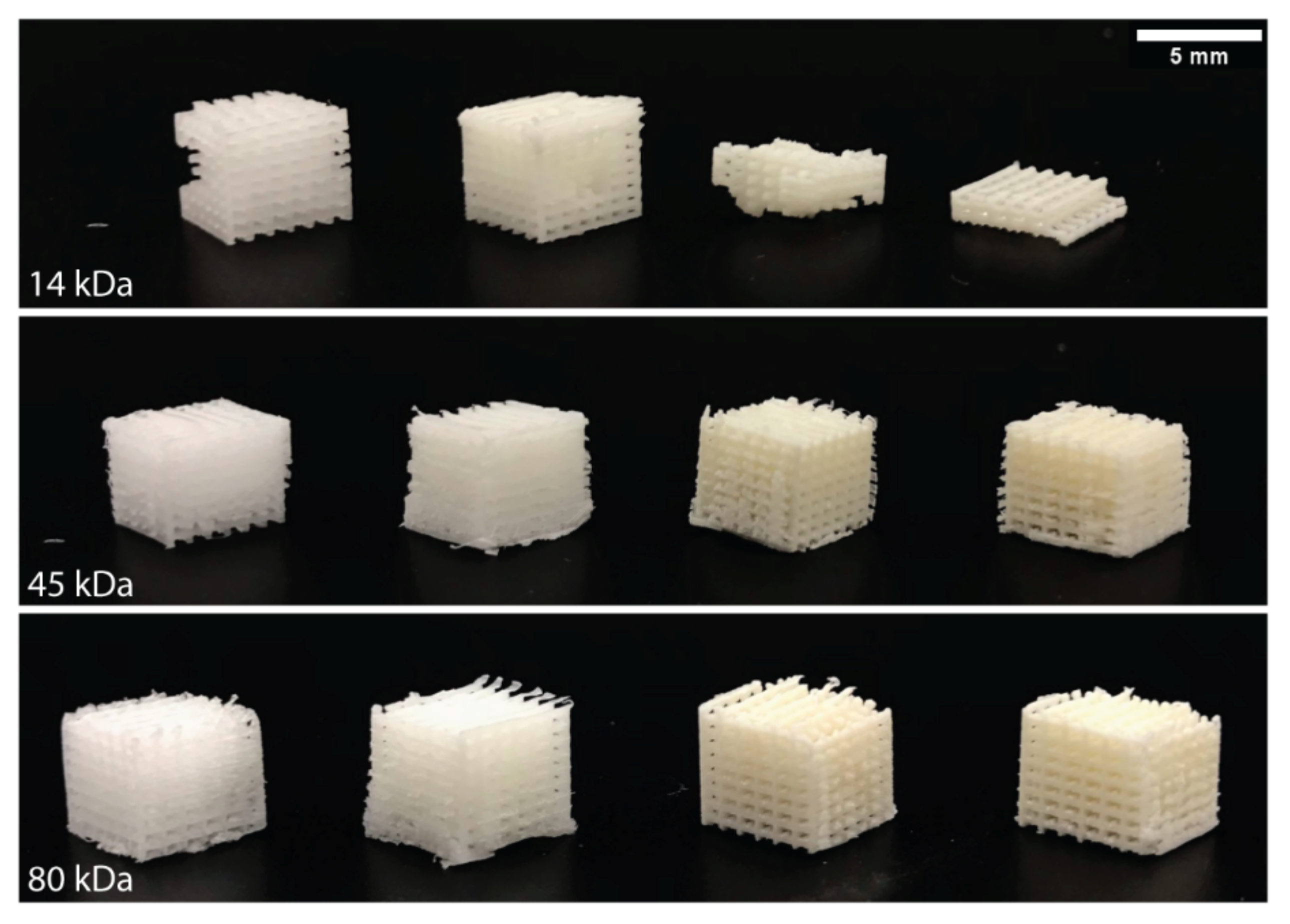 Polymers 13 00295 g006 Polymers 13 00295 g006