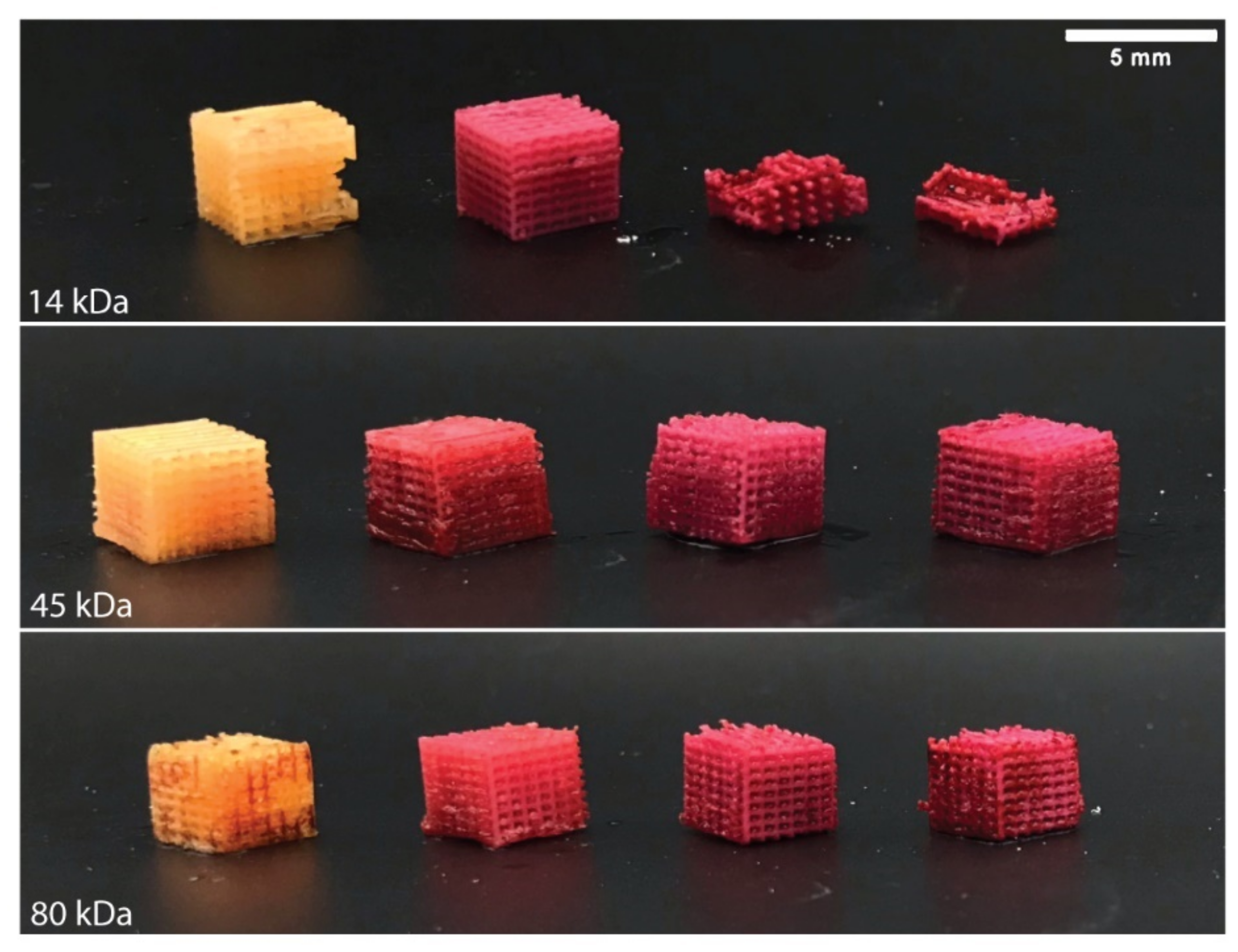 Polymers 13 00295 g007 Polymers 13 00295 g007