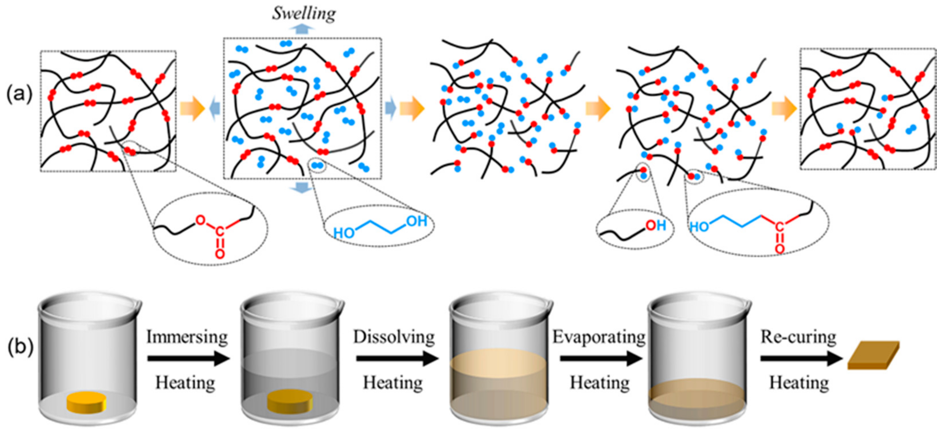 Polymers 13 00296 g001 Polymers 13 00296 g001