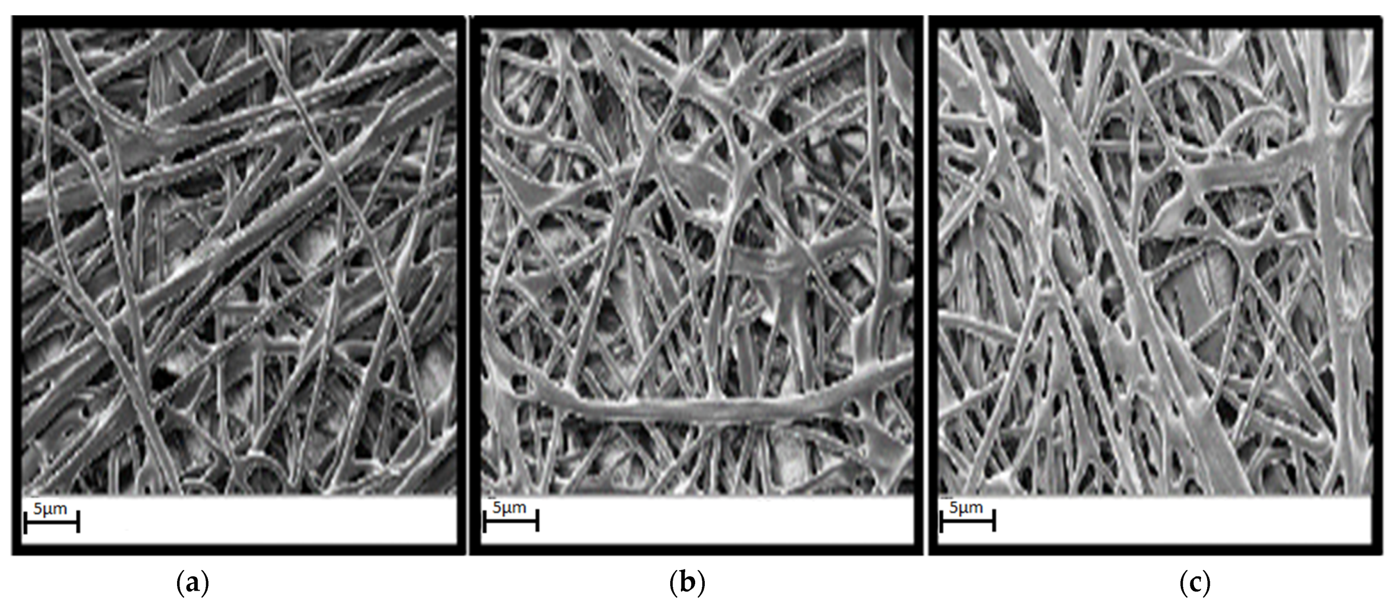 Polymers 13 00298 g011 Polymers 13 00298 g011