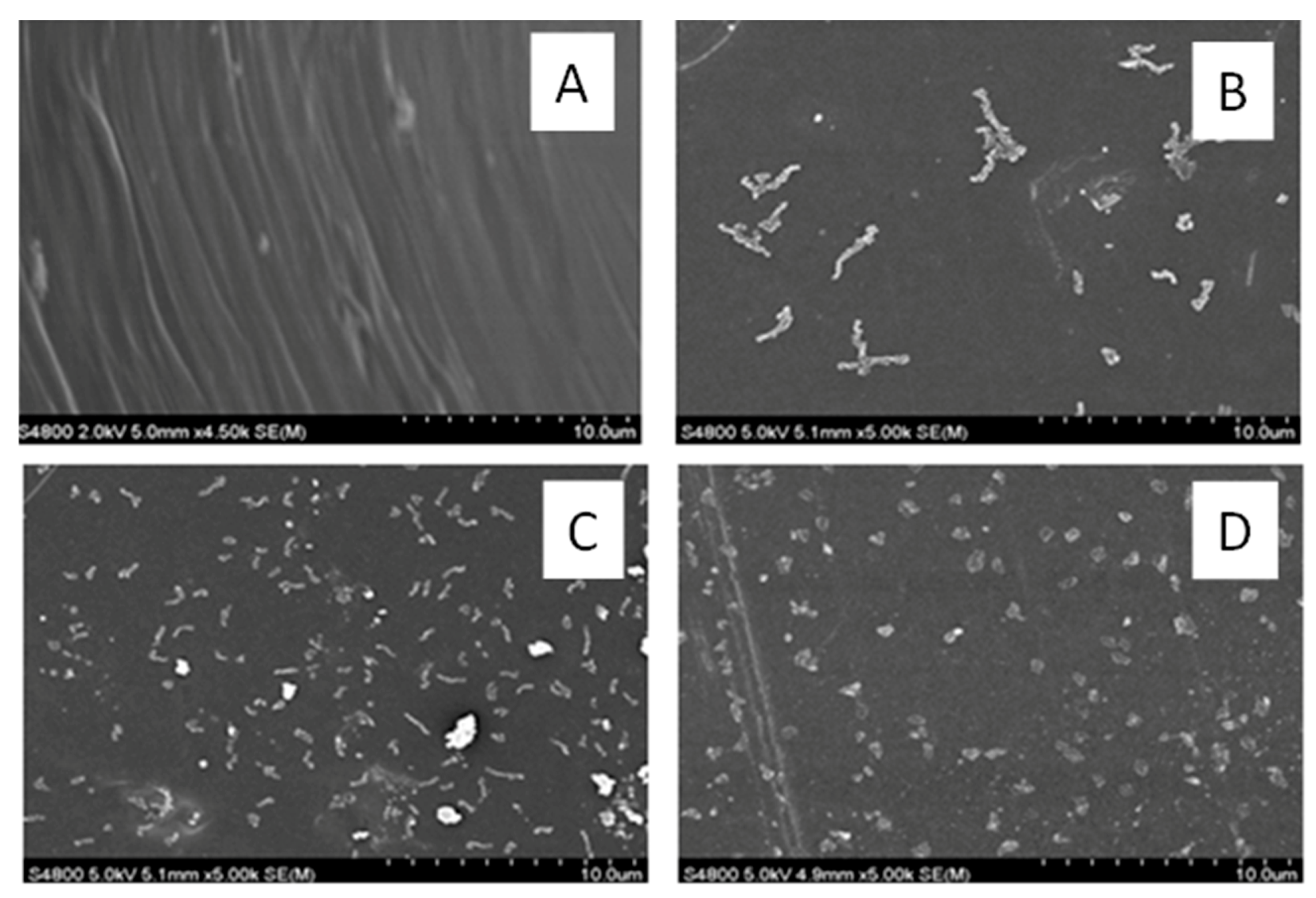 Polymers 13 00299 g004 Polymers 13 00299 g004