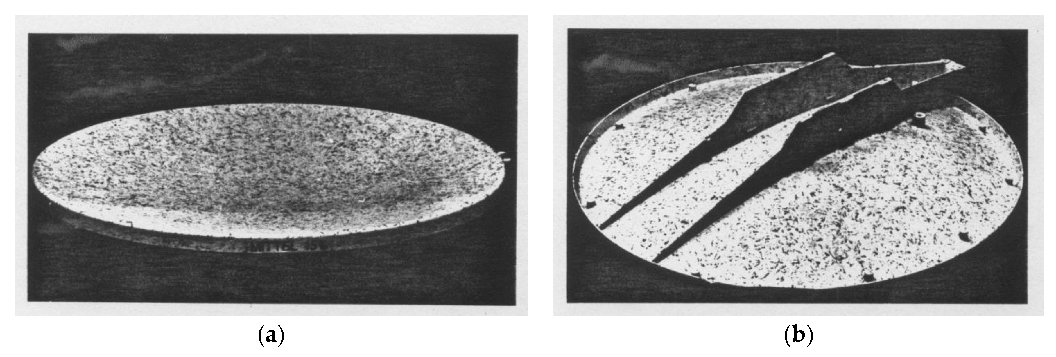 Polymers 13 00300 g001 550