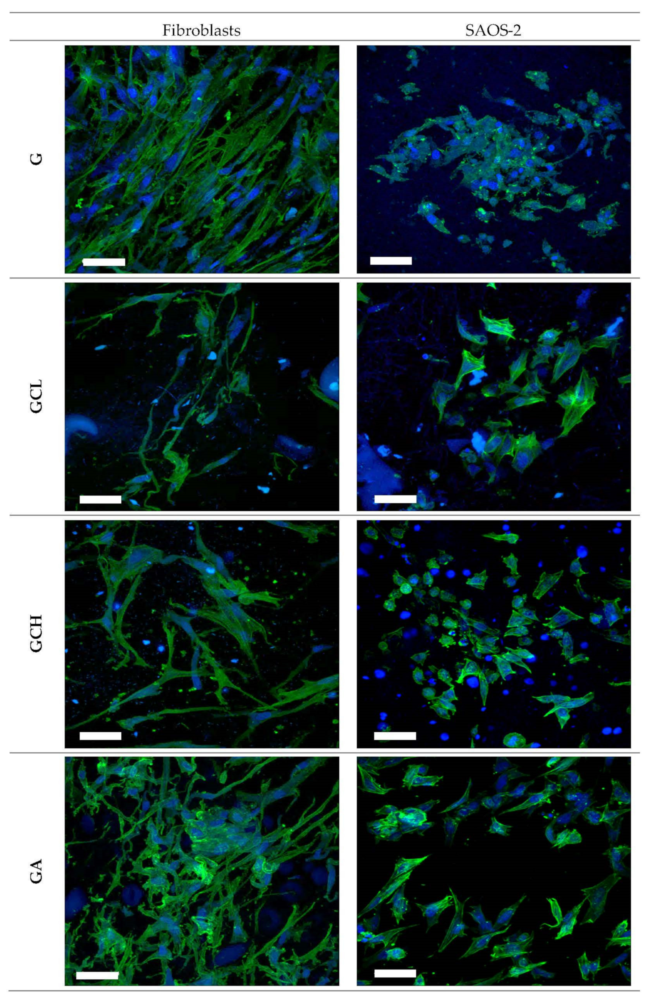 Polymers 13 00307 g008 Polymers 13 00307 g008