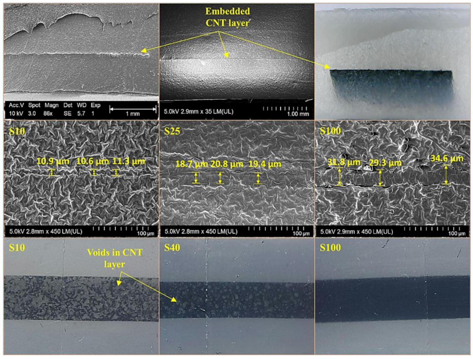 Polymers 13 00311 g002 550