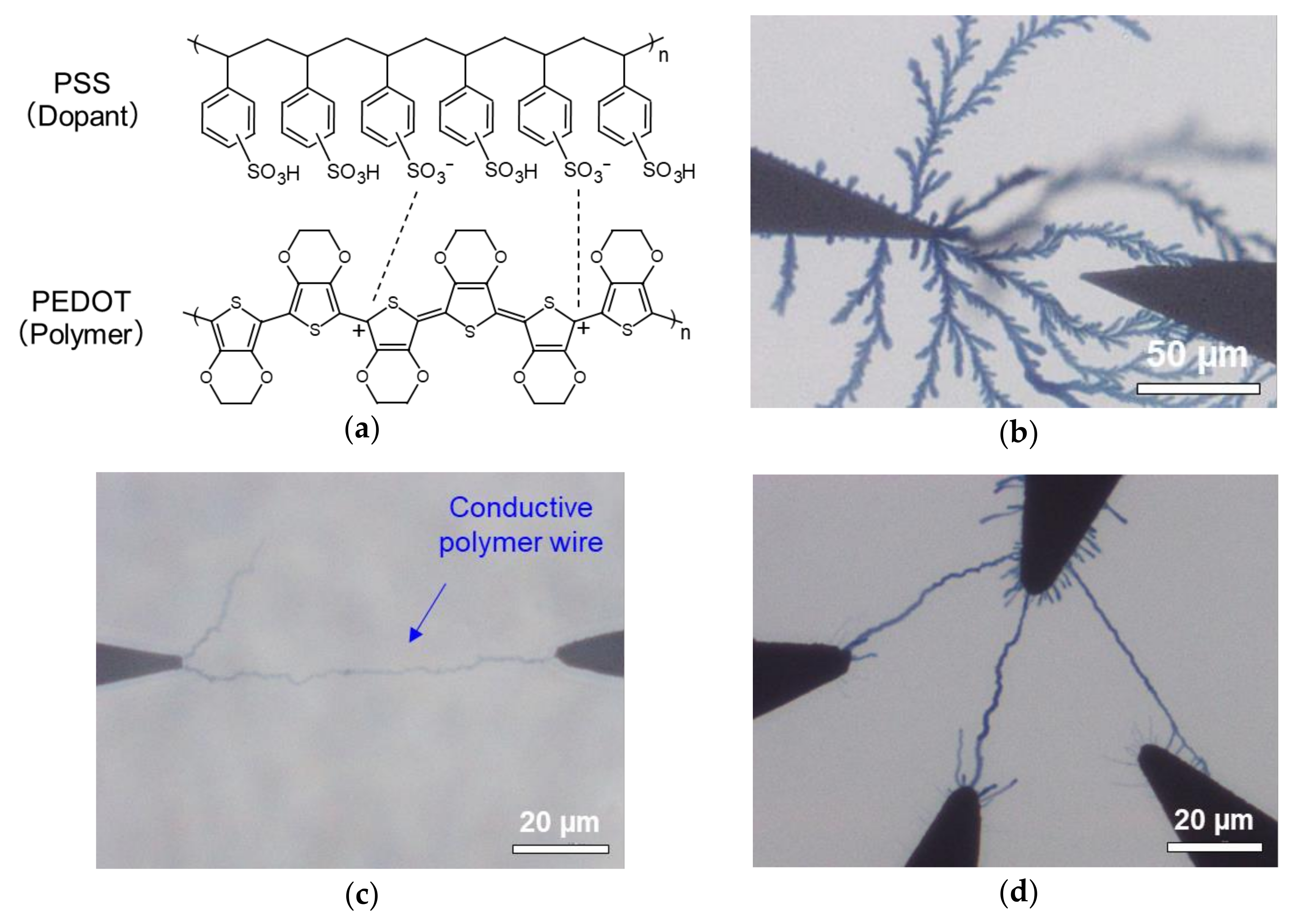 Polymers 13 00312 g001 Polymers 13 00312 g001