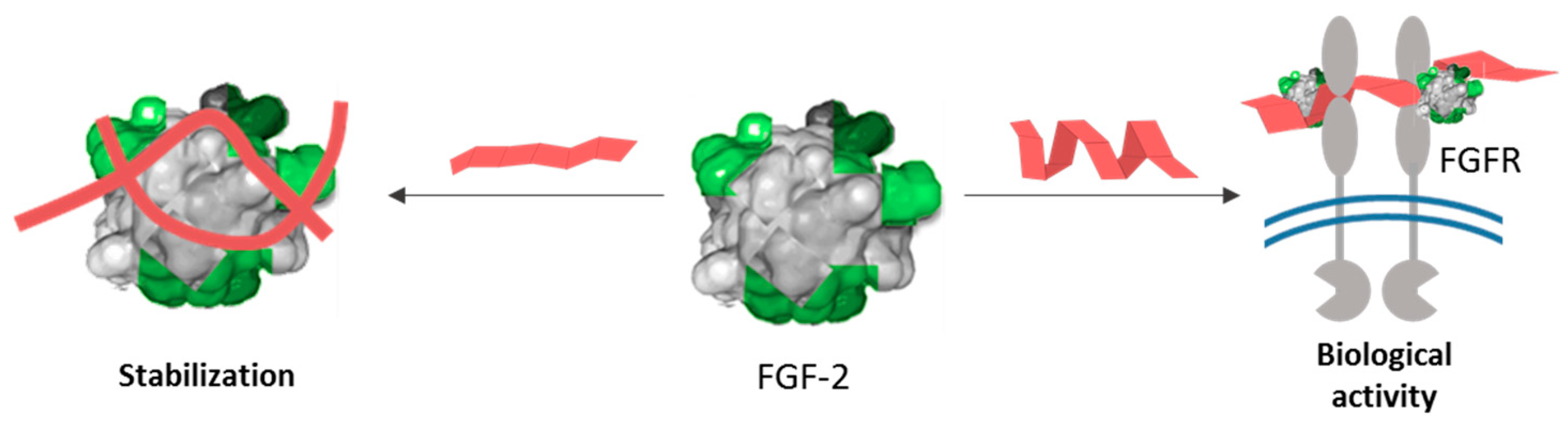 Polymers 13 00313 g010