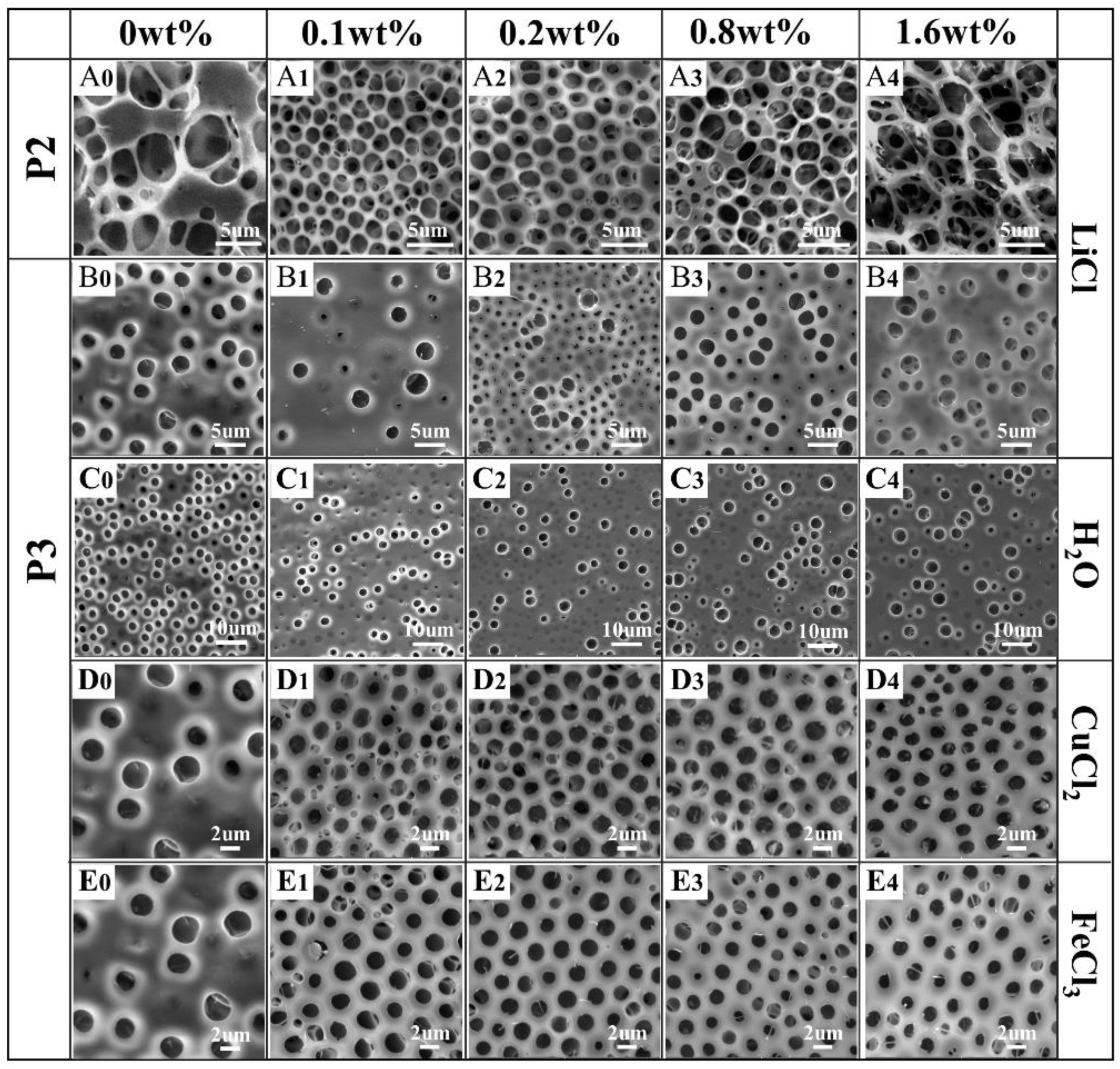 Polymers 13 00316 g005 Polymers 13 00316 g005
