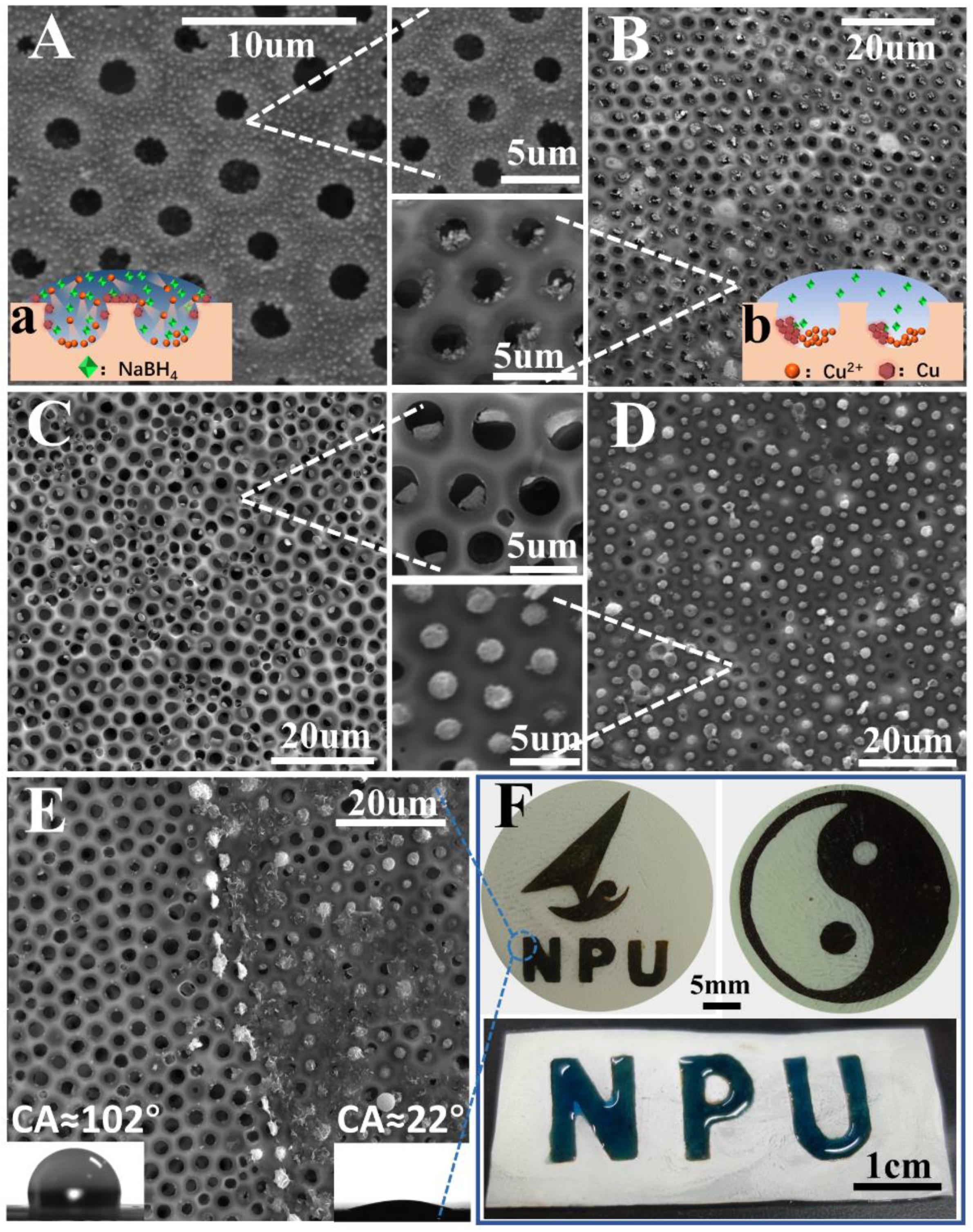 Polymers 13 00316 g008 Polymers 13 00316 g008