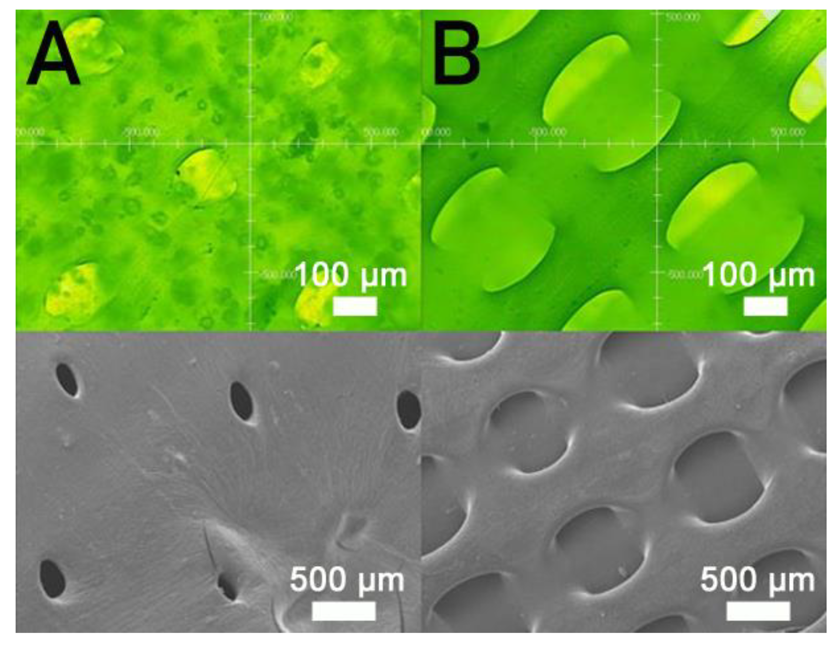 Polymers 13 00318 g006 Polymers 13 00318 g006