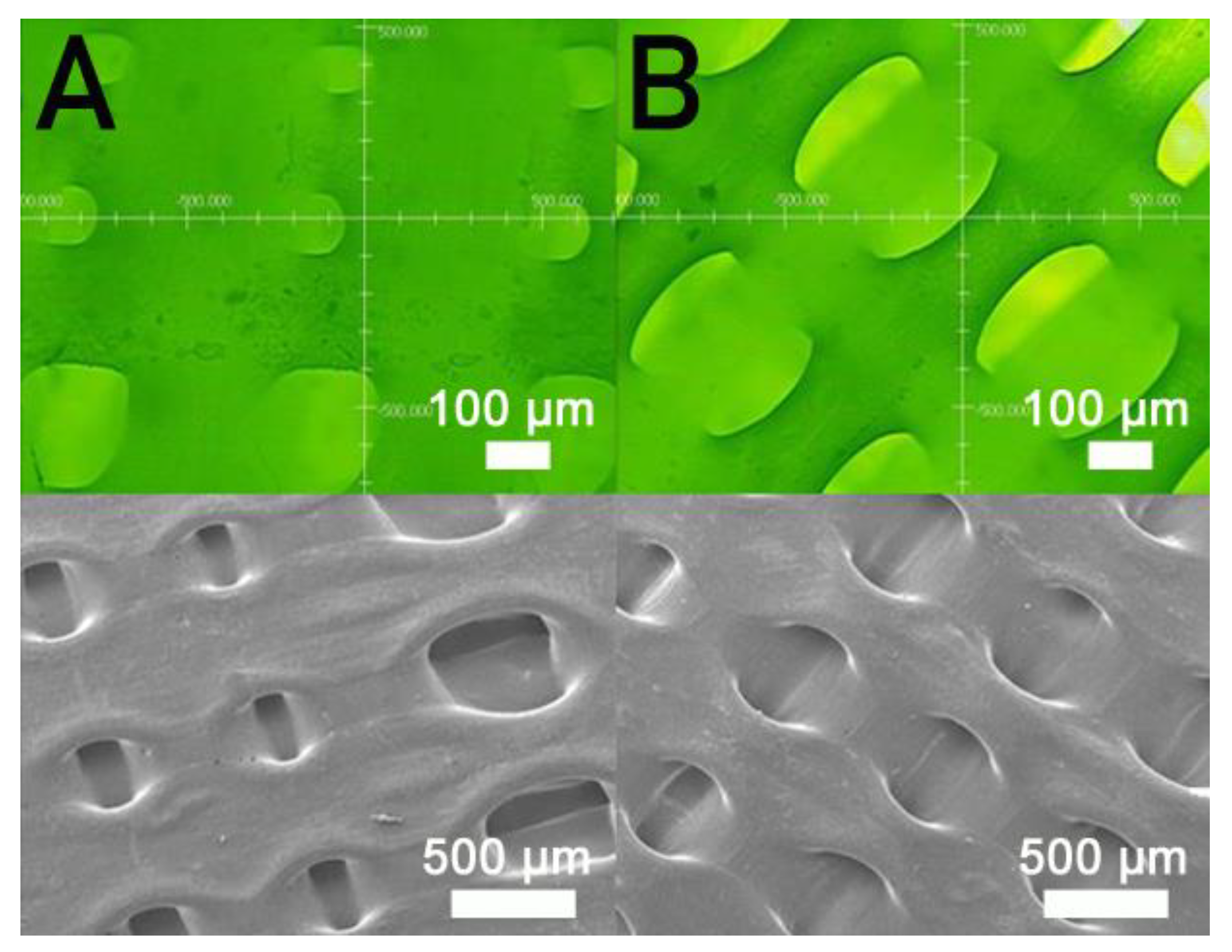 Polymers 13 00318 g010 Polymers 13 00318 g010