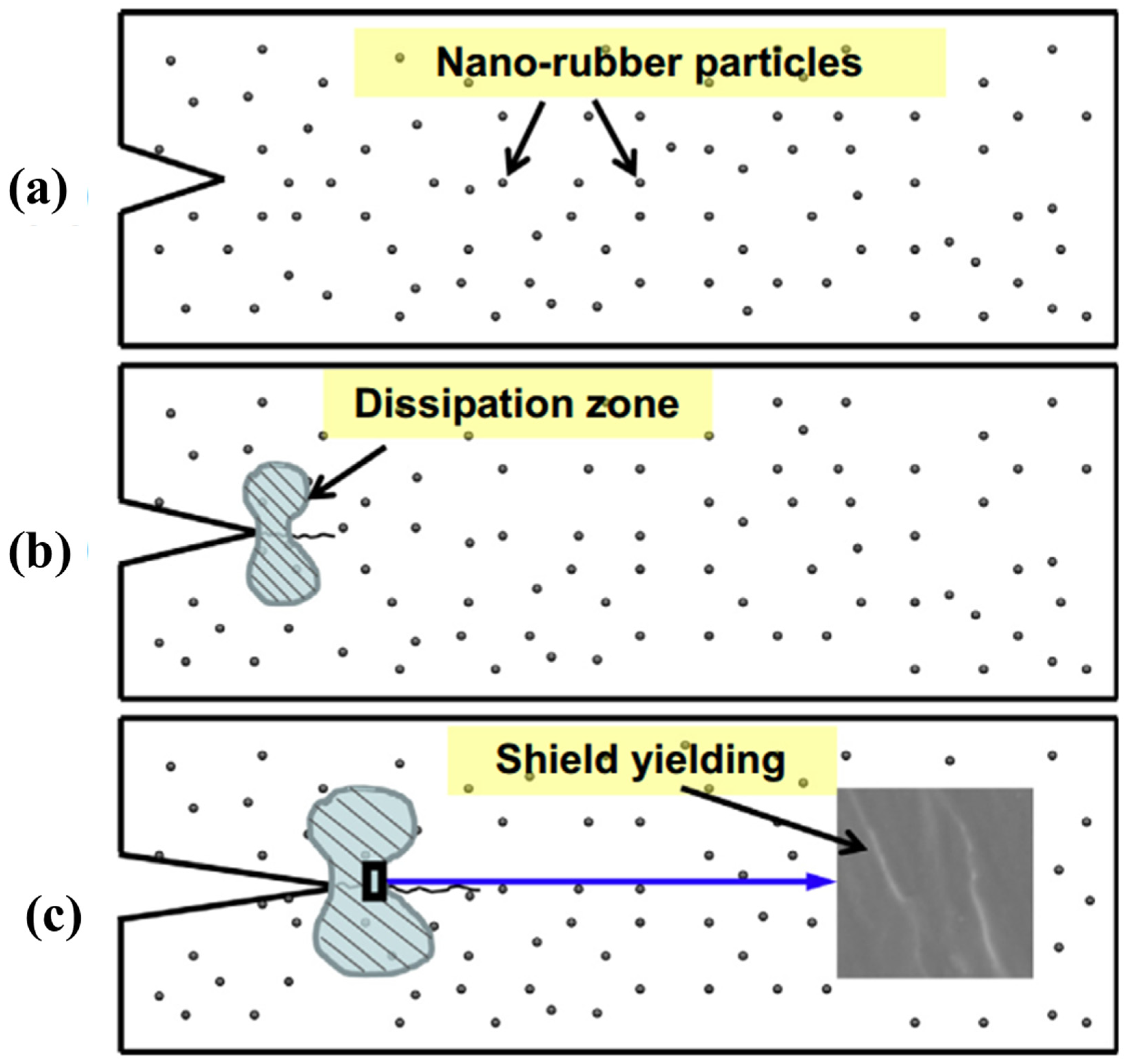 Polymers 13 00320 g008 Polymers 13 00320 g008
