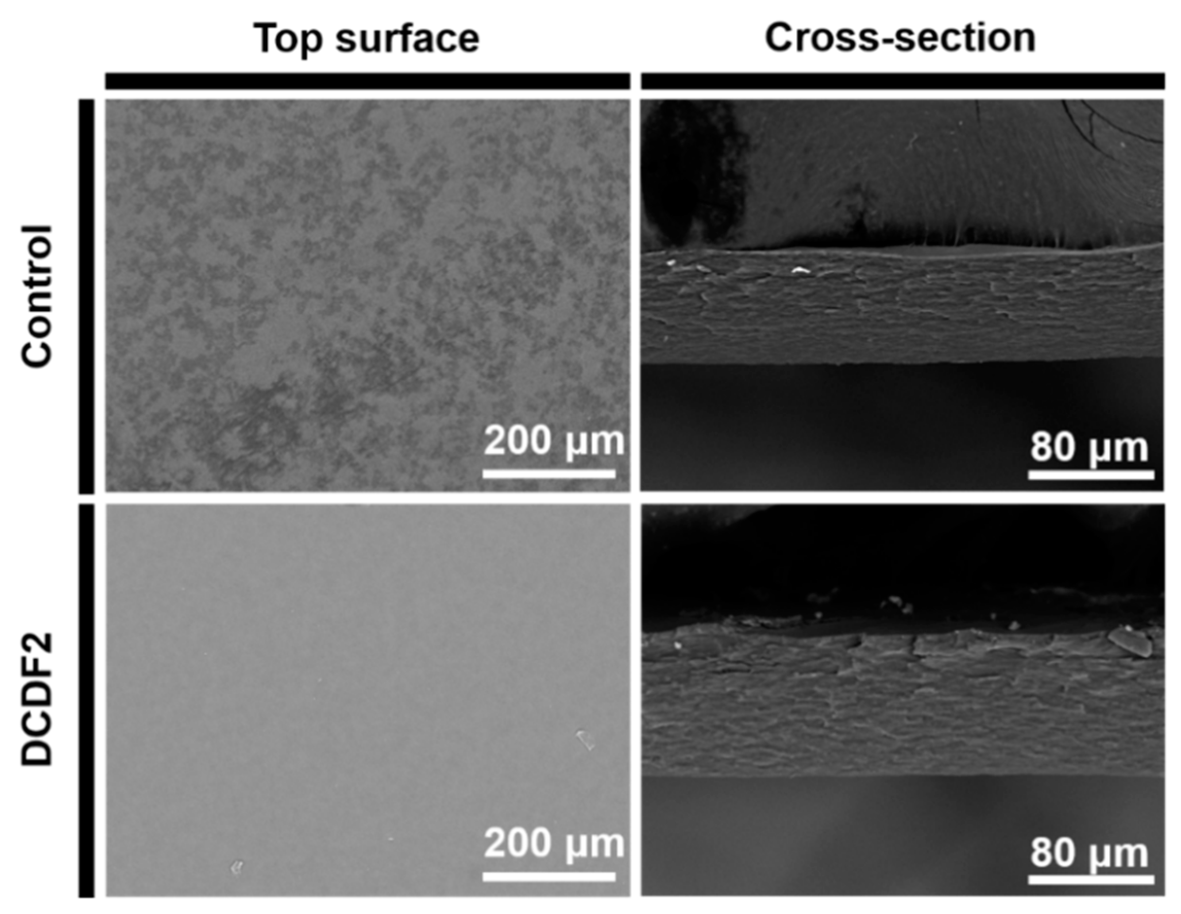 Polymers 13 00326 g002 Polymers 13 00326 g002