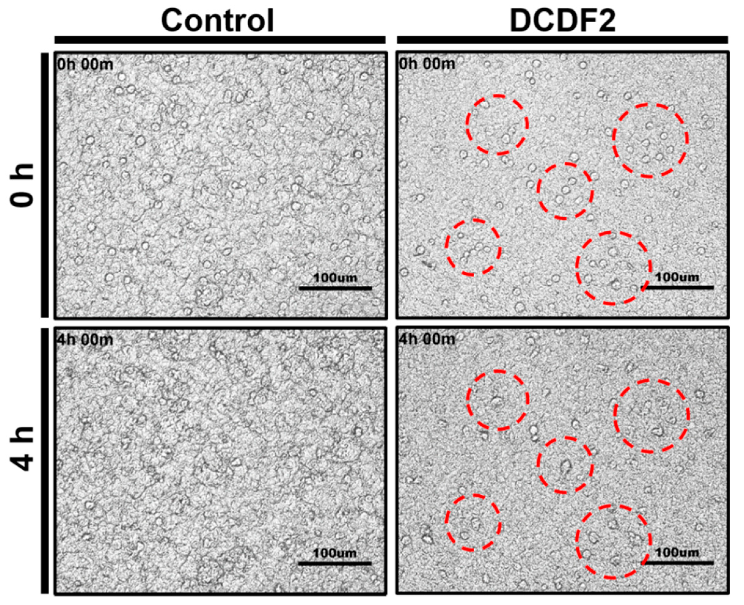 Polymers 13 00326 g007 Polymers 13 00326 g007