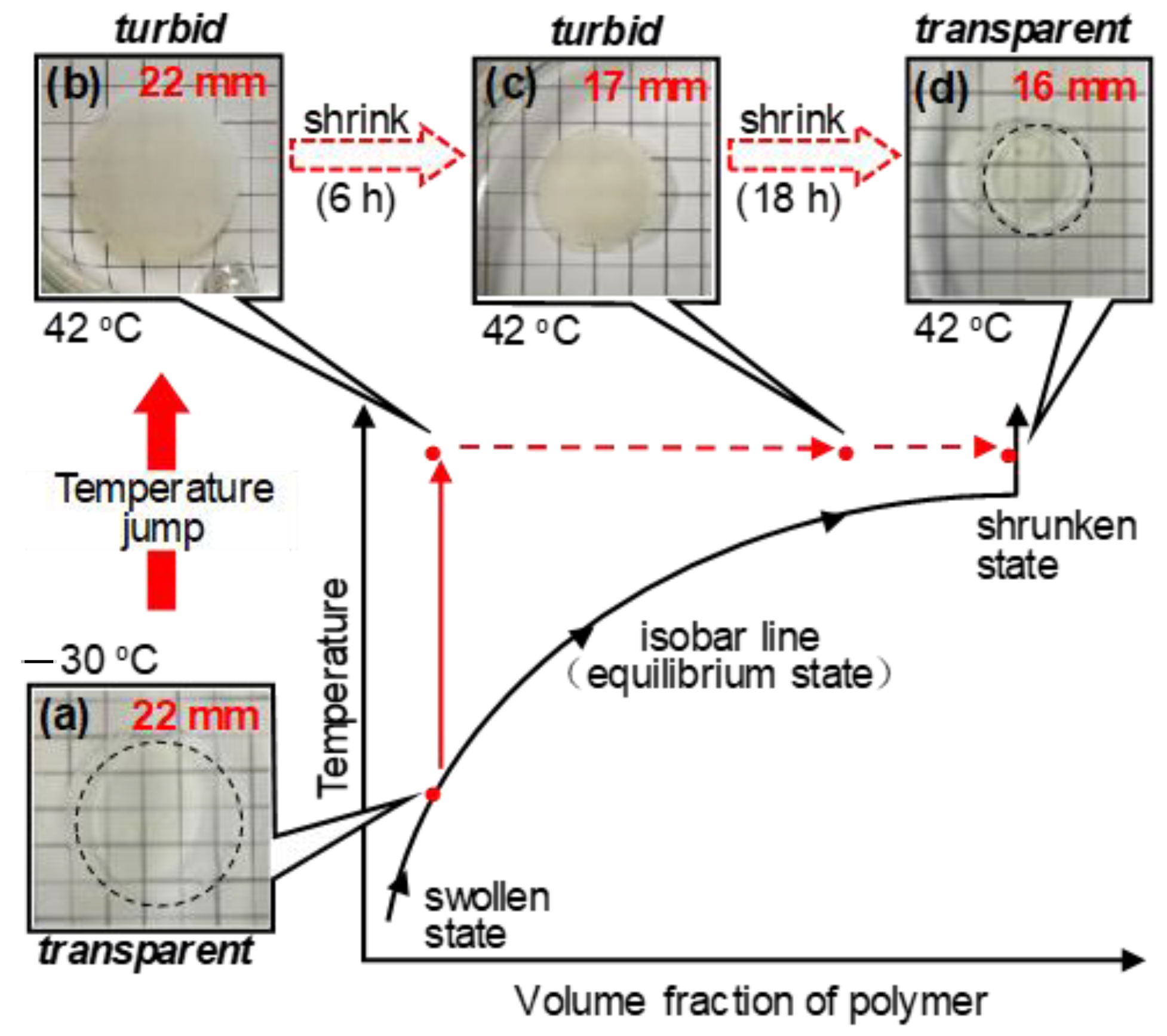 Polymers 13 00329 g003 Polymers 13 00329 g003
