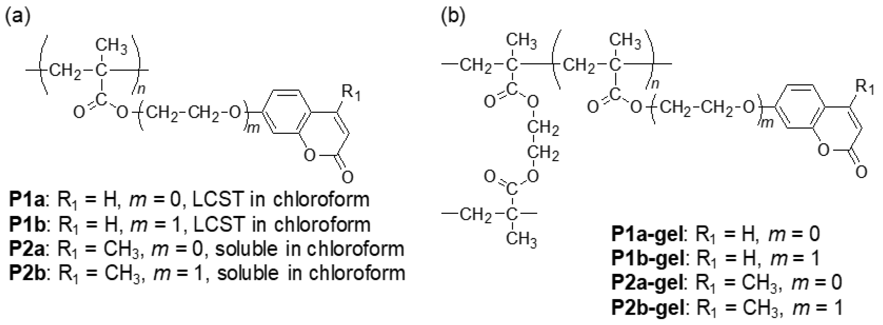 Polymers 13 00329 sch001 Polymers 13 00329 sch001