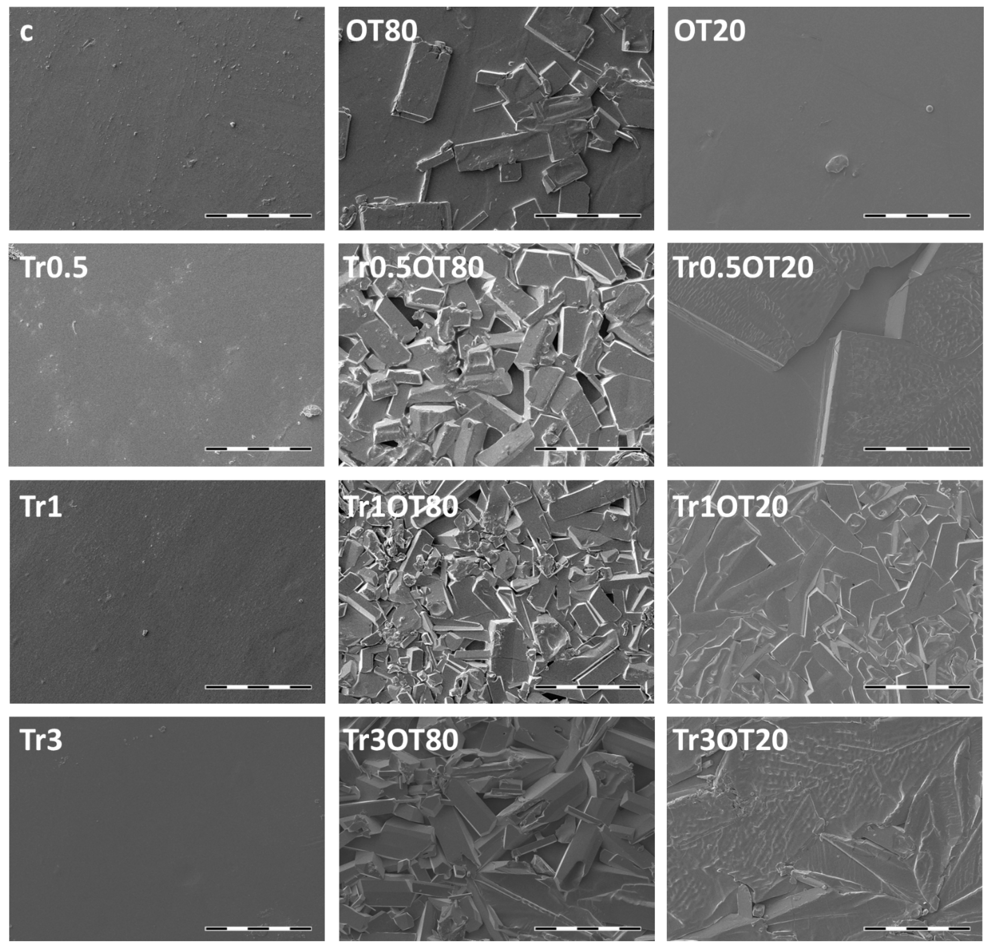 Polymers 13 00332 g004 Polymers 13 00332 g004