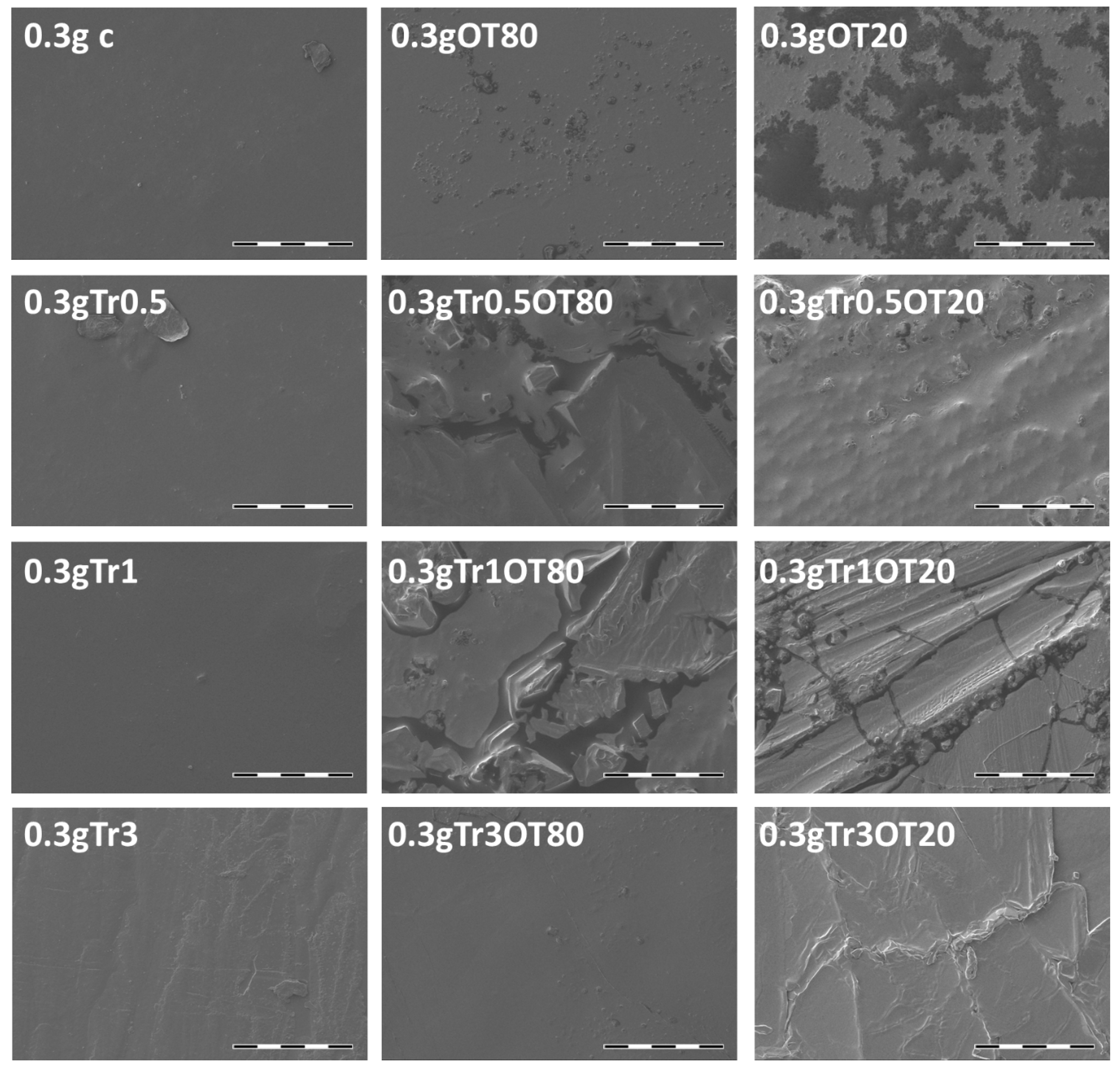 Polymers 13 00332 g005 Polymers 13 00332 g005