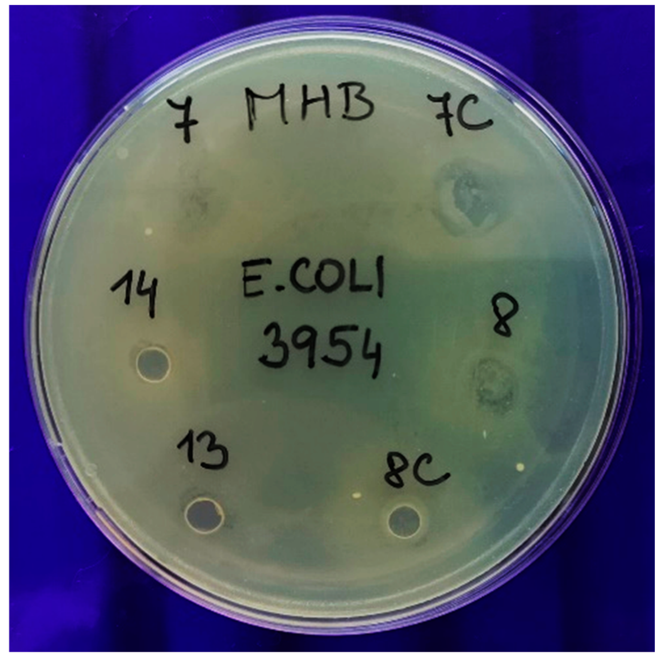 Polymers 13 00332 g011 Polymers 13 00332 g011