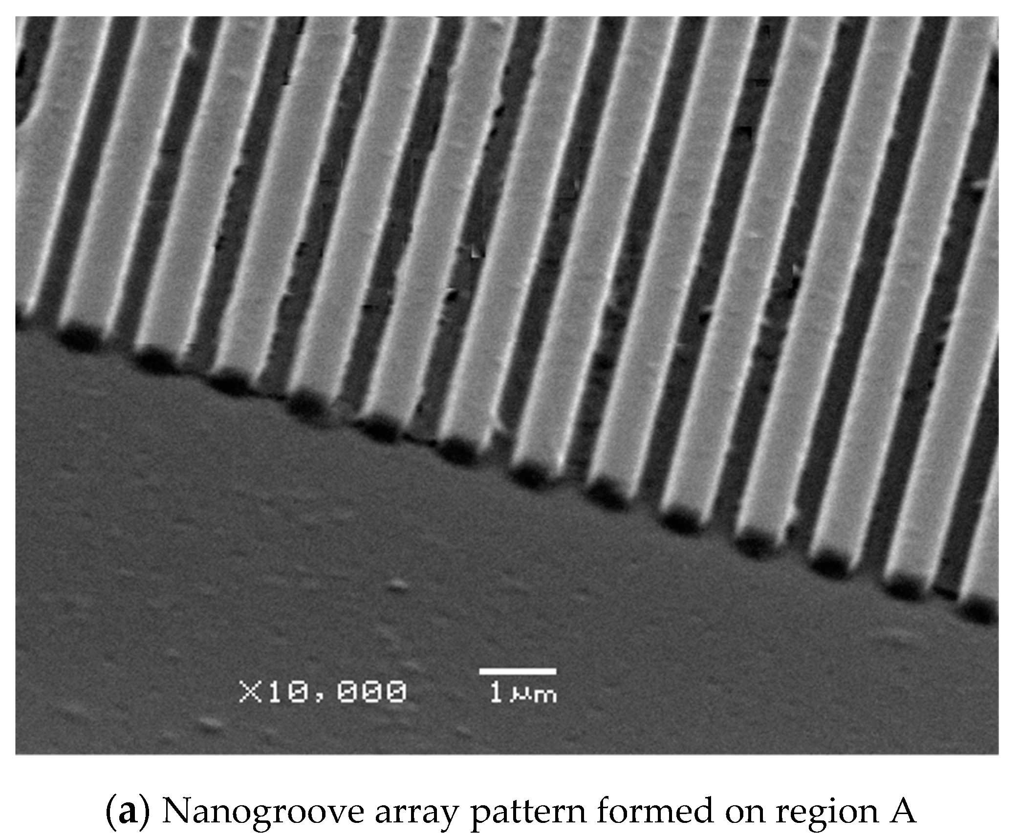 Polymers 13 00337 g010a